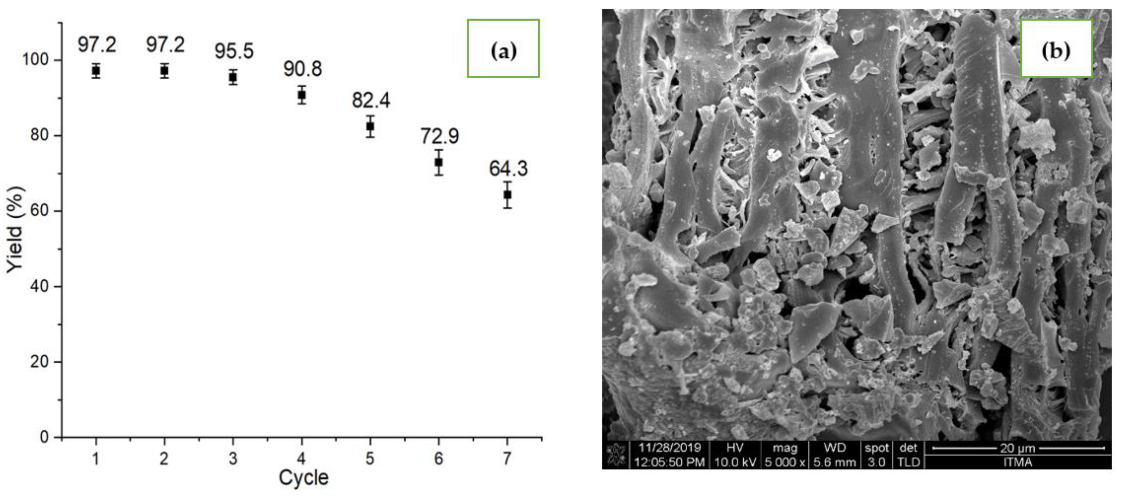 Catalysts 12 00874 g008 550
