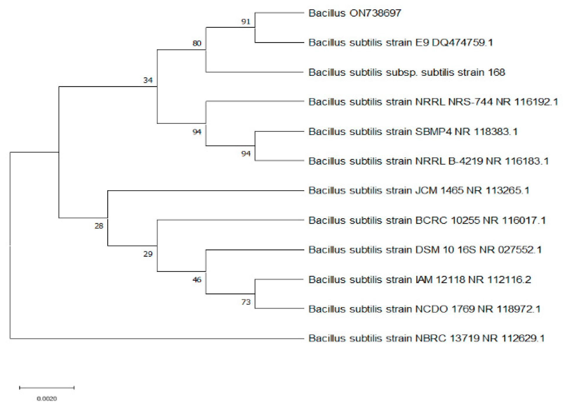 Catalysts 12 00875 g003