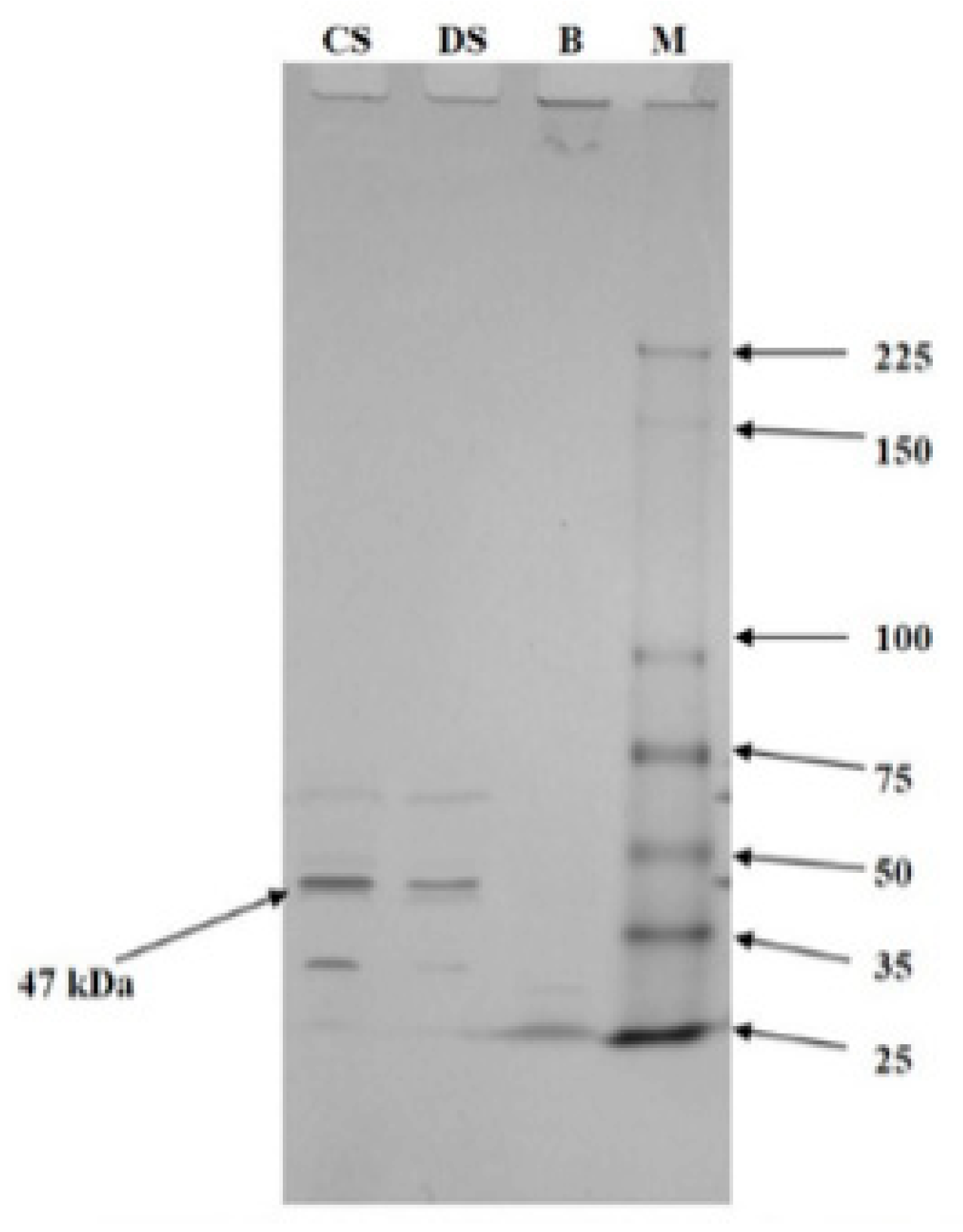 Catalysts 12 00875 g004