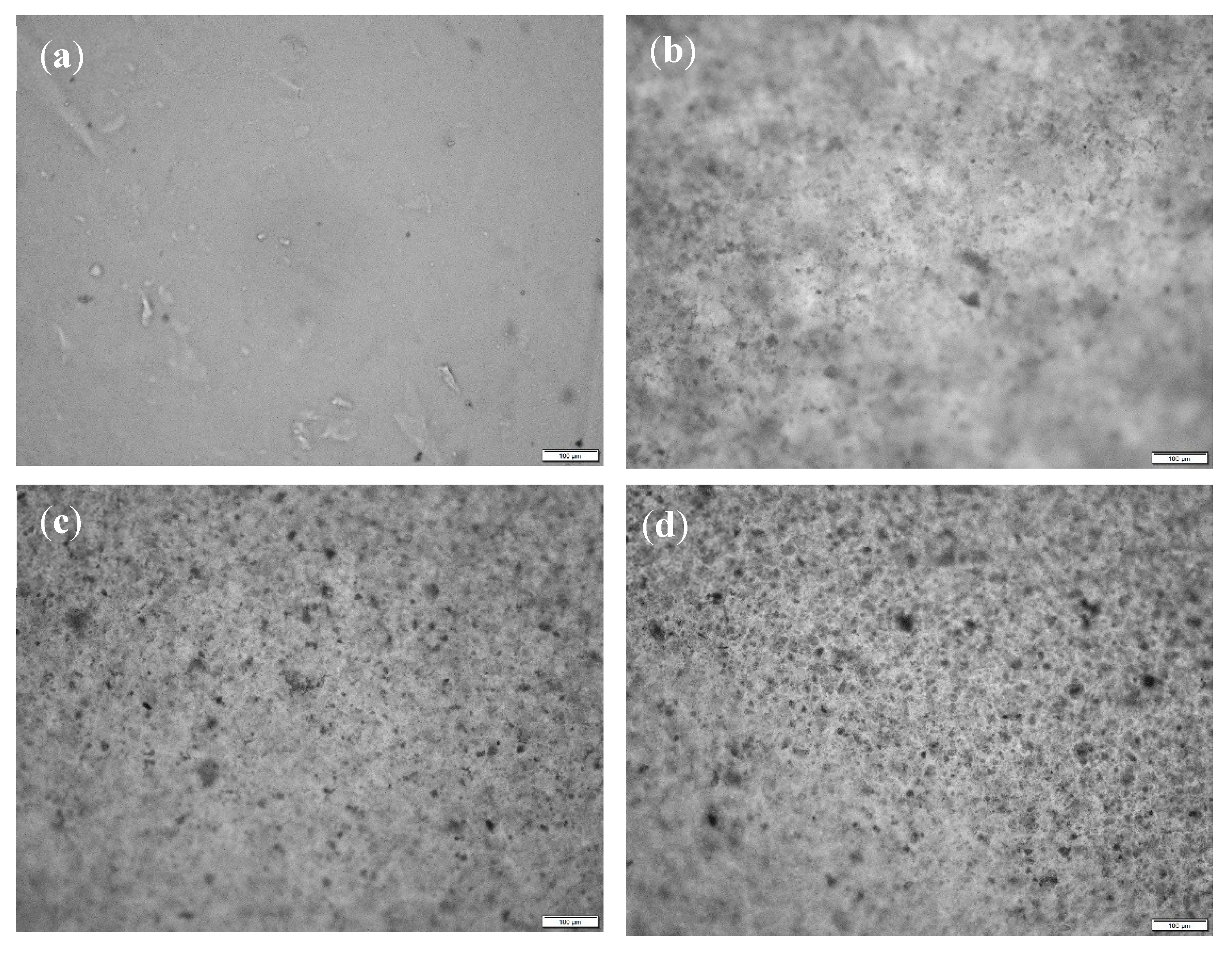 Catalysts 12 00886 g007