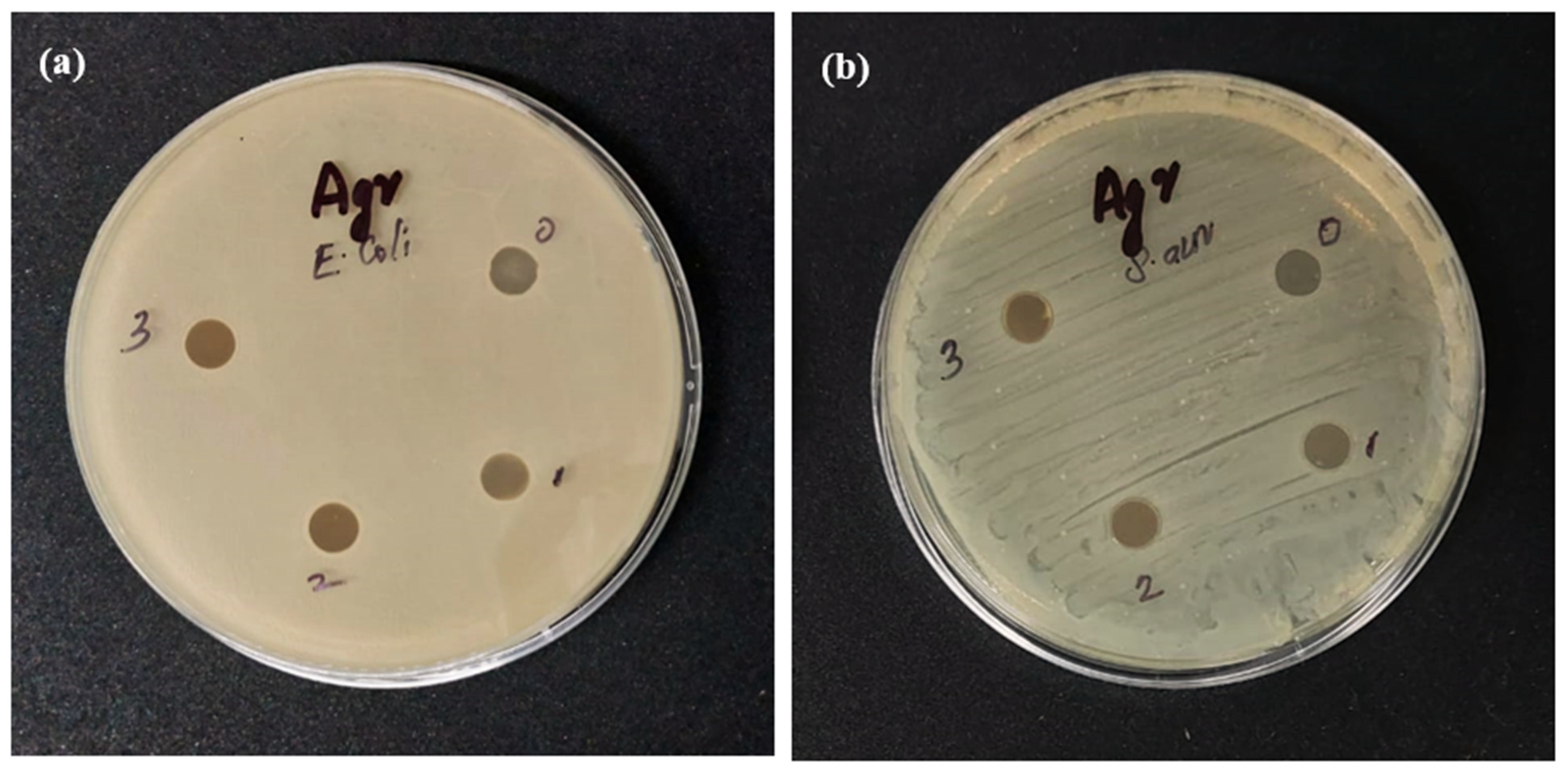Catalysts 12 00886 g008