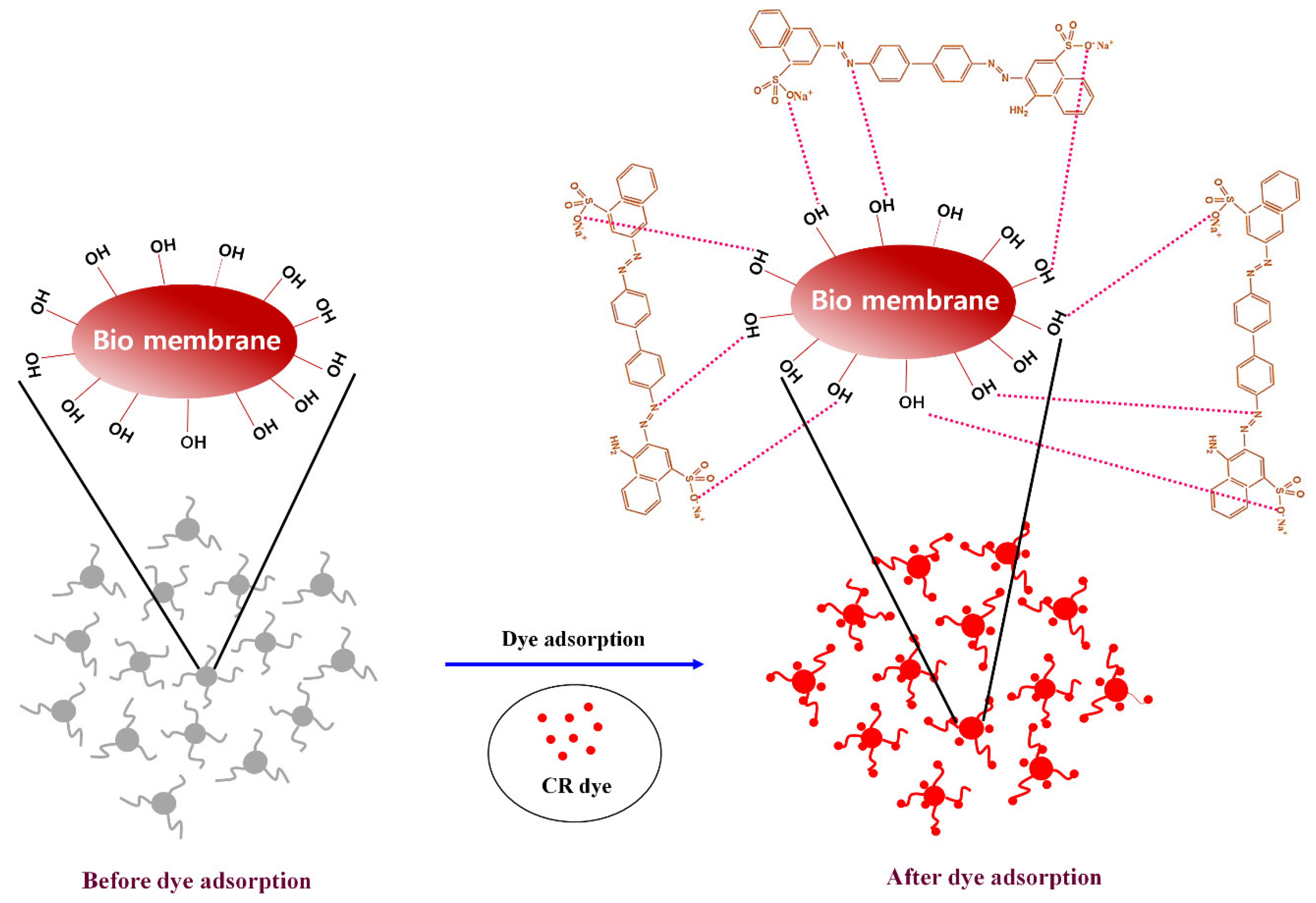 Catalysts 12 00886 sch003