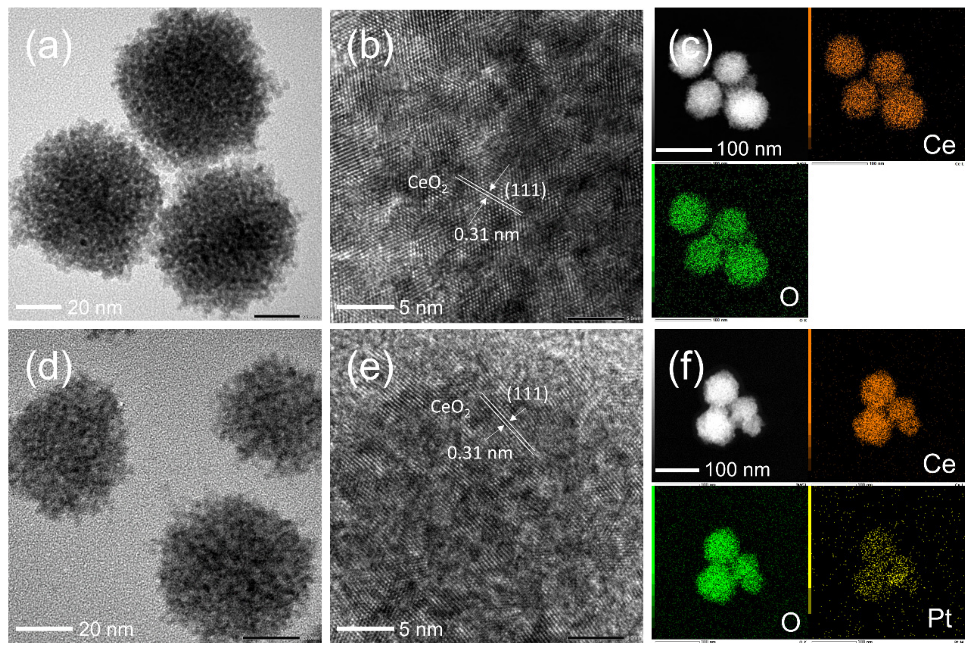 Catalysts 12 00887 g004