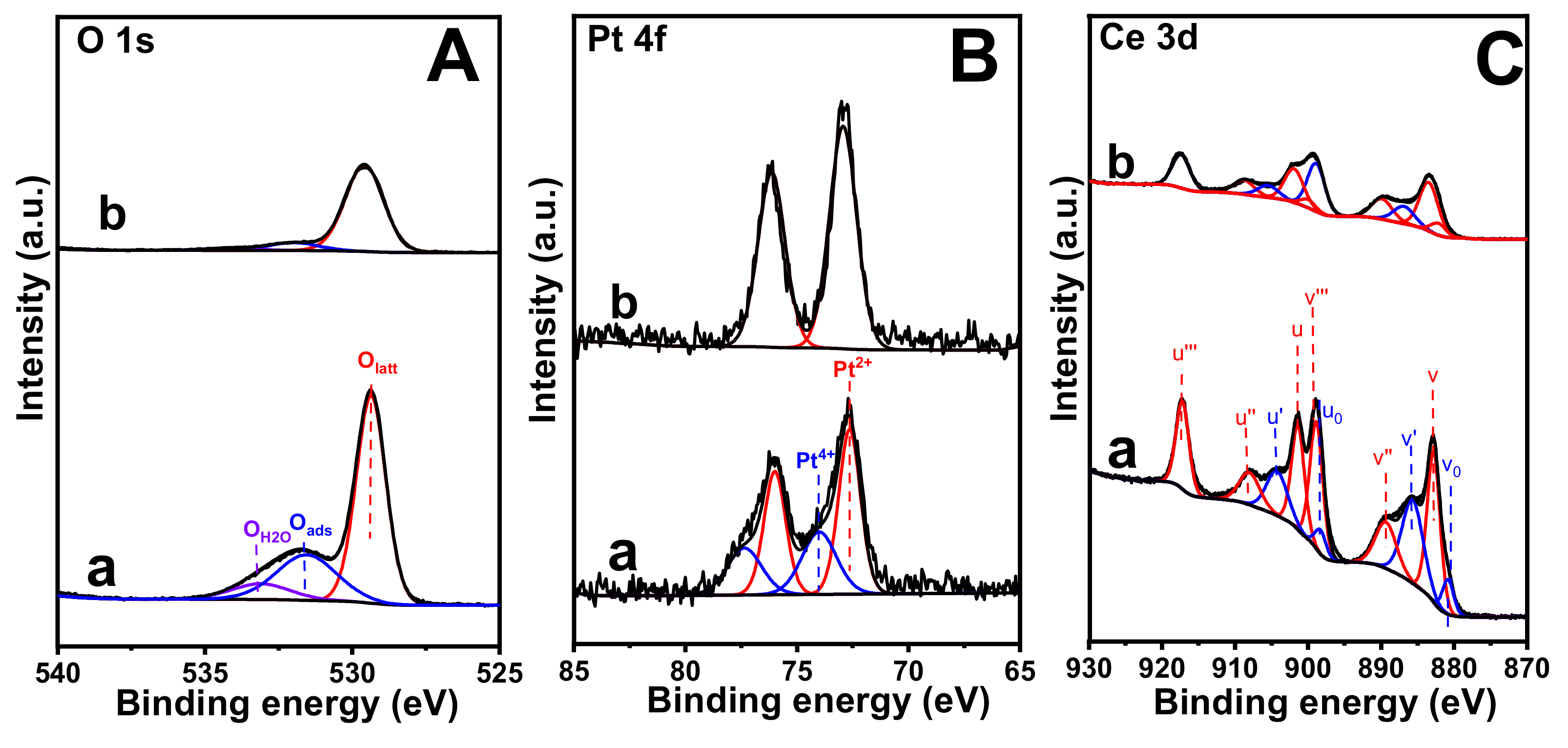 Catalysts 12 00887 g012