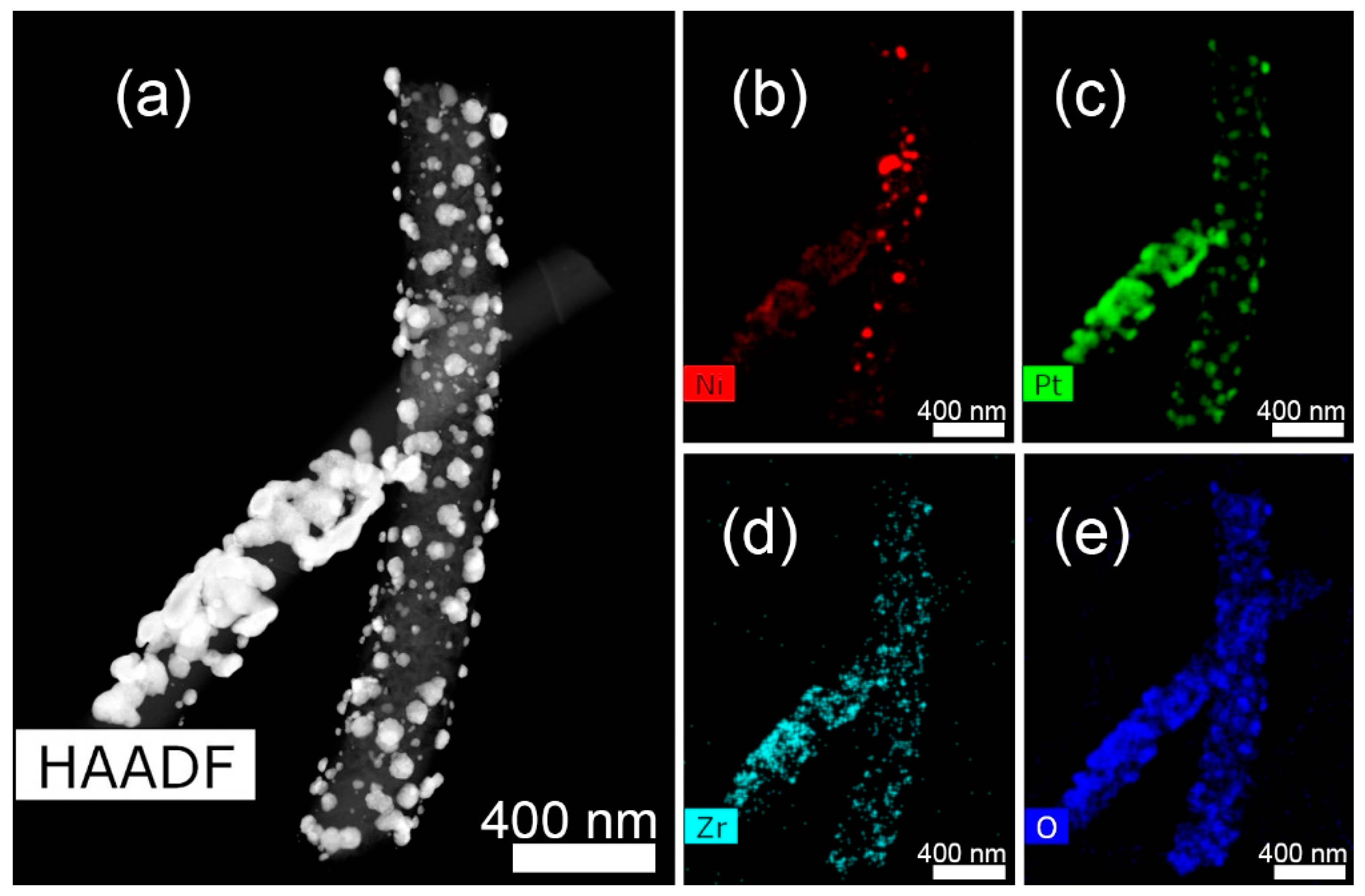 Catalysts 12 00891 g005