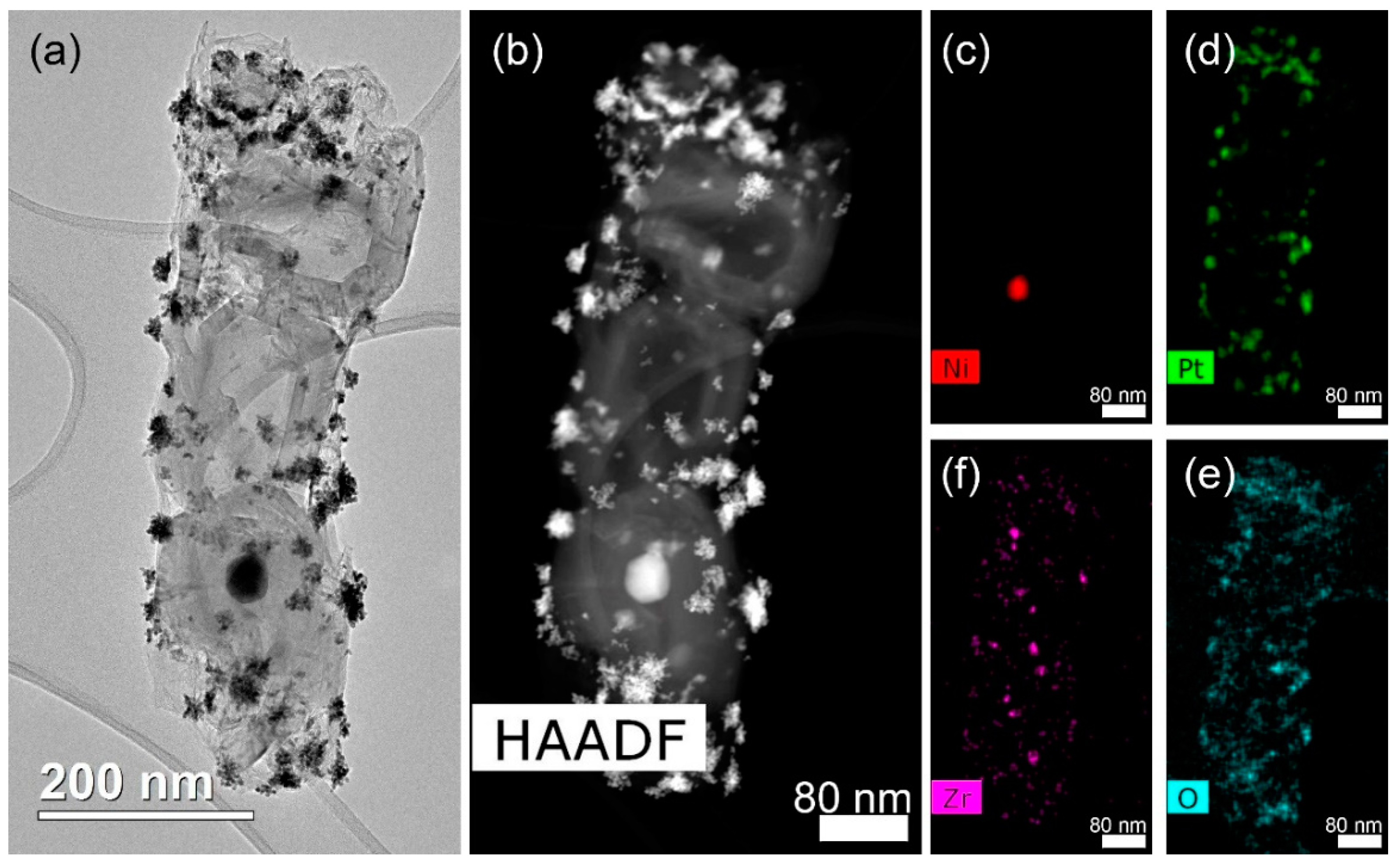 Catalysts 12 00891 g010