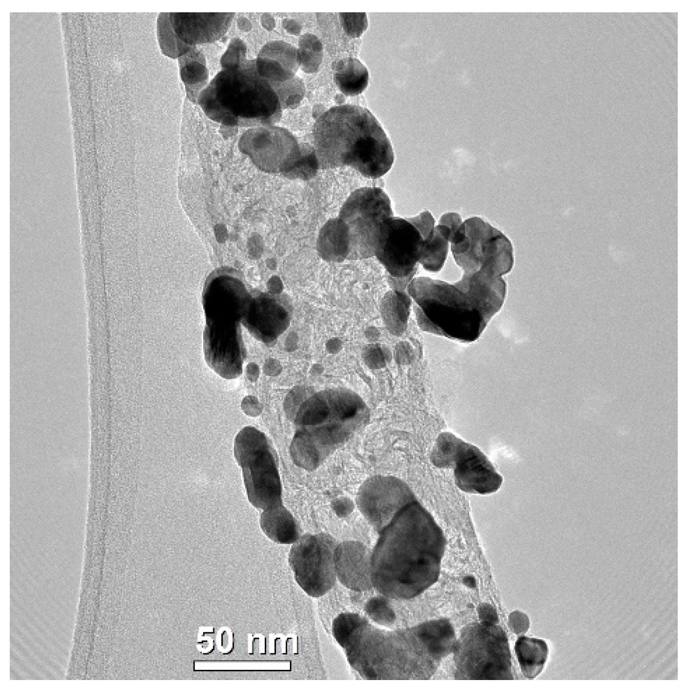 Catalysts 12 00891 g012