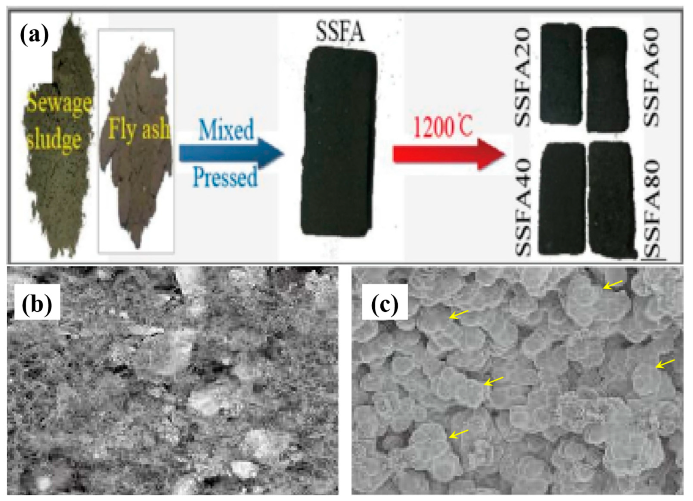 Catalysts 12 00894 g004