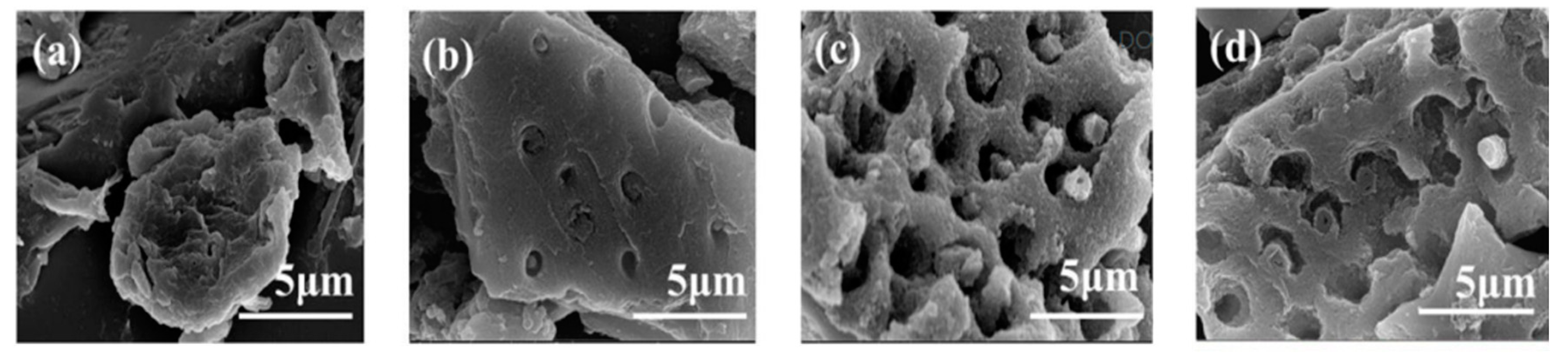Catalysts 12 00894 g007