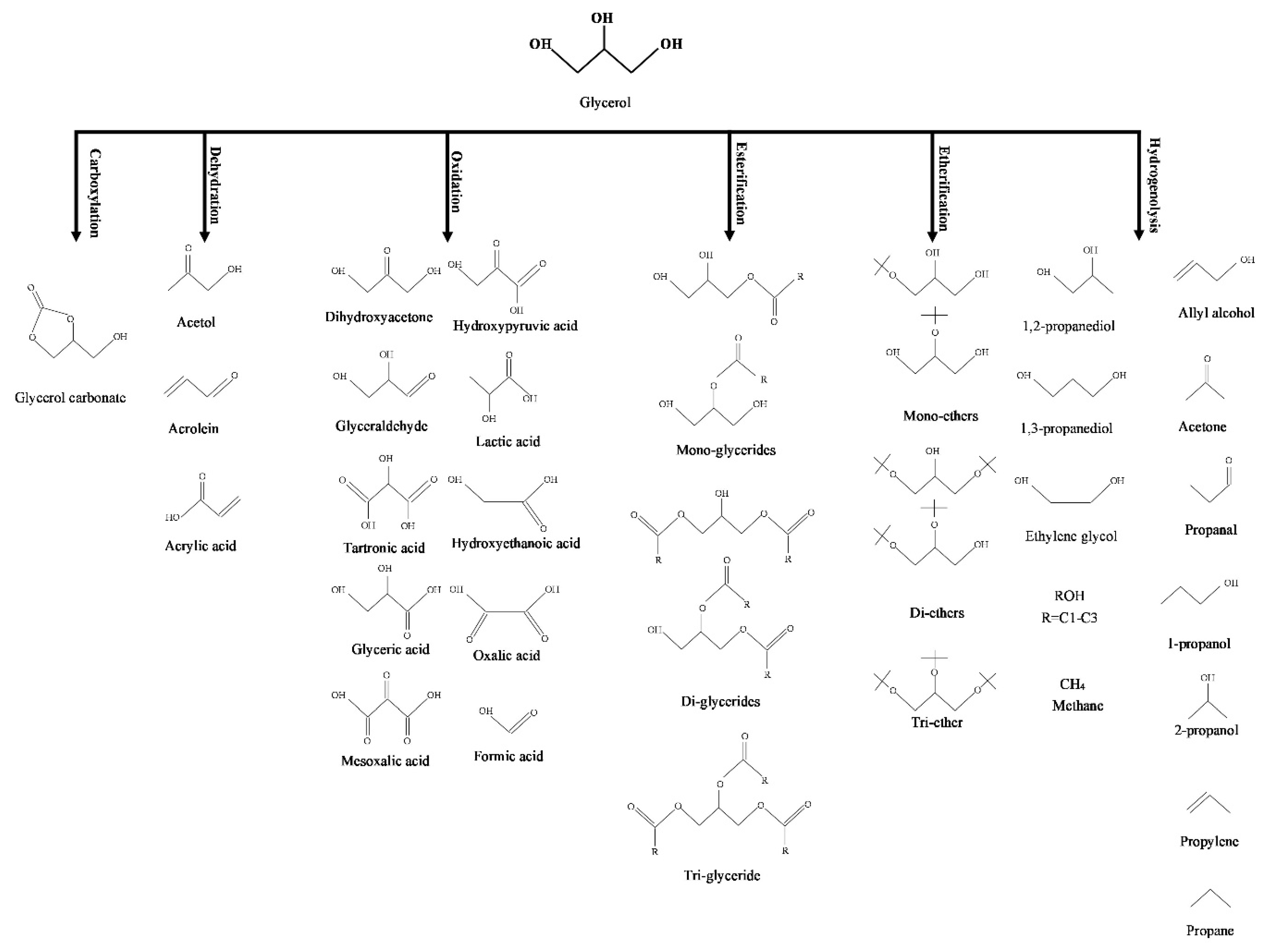 Catalysts 12 00897 g003 550