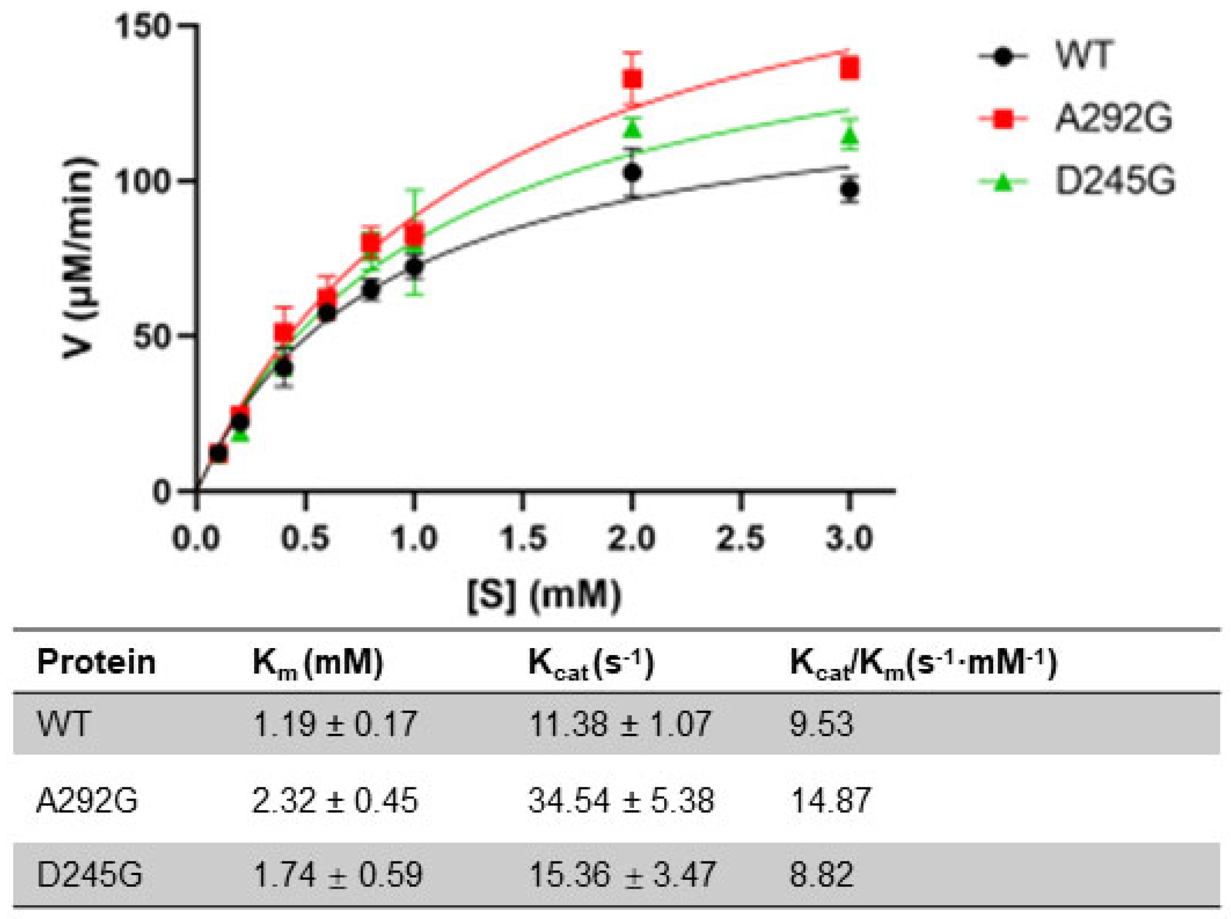 Catalysts 12 00898 g004 550