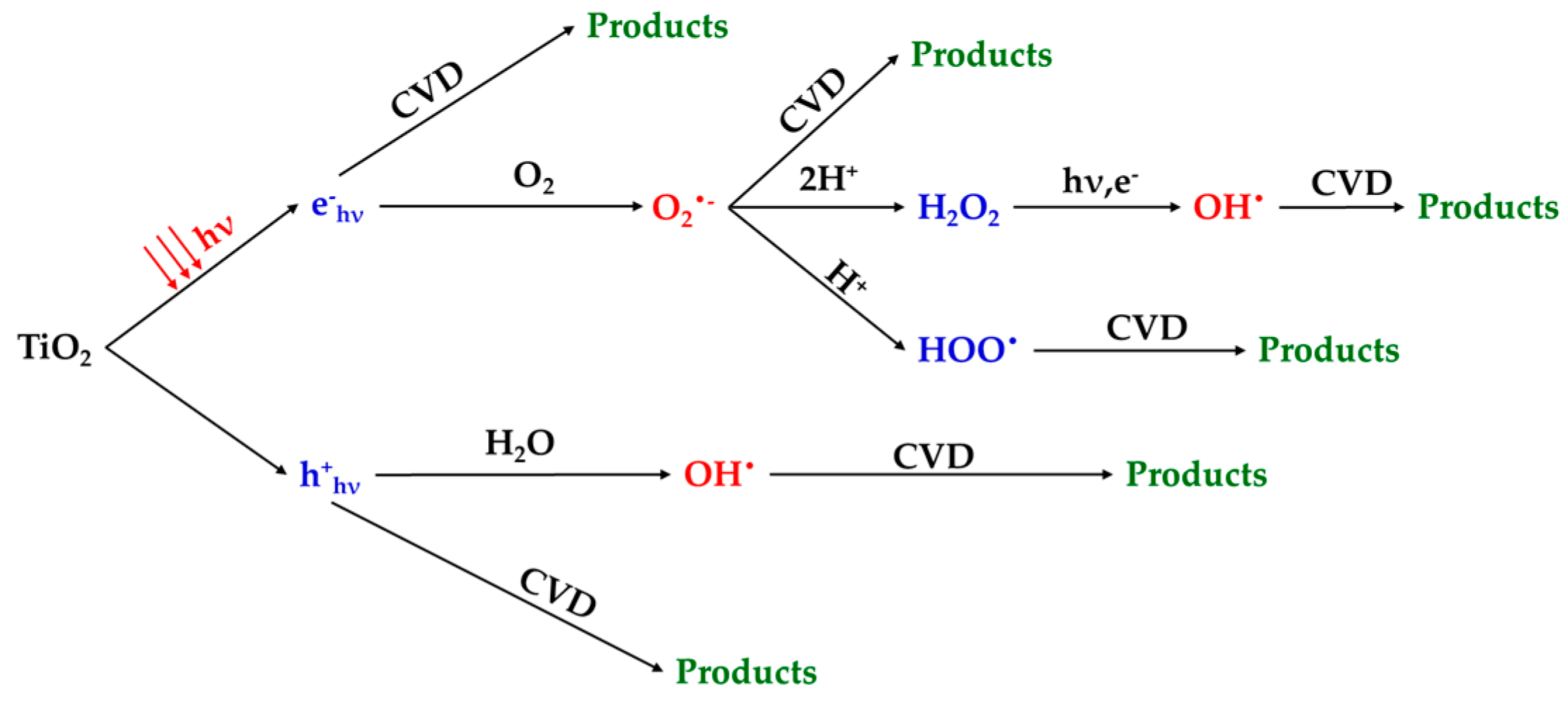 Catalysts 12 00899 g014 550