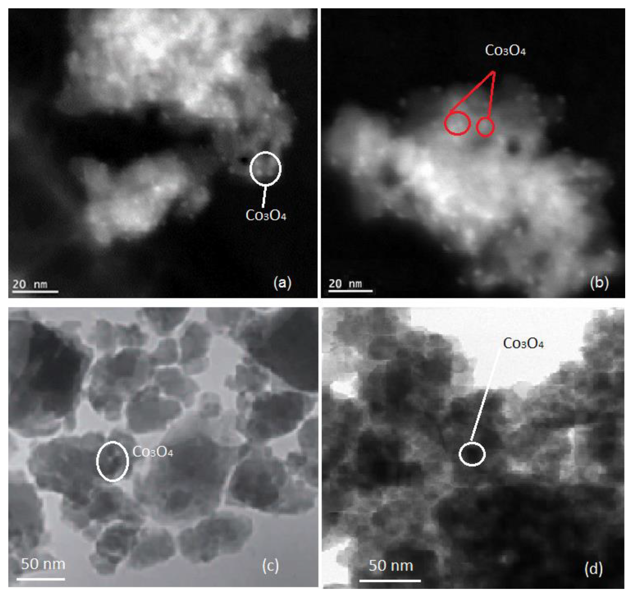 Catalysts 12 00900 g011 Catalysts 12 00900 g011