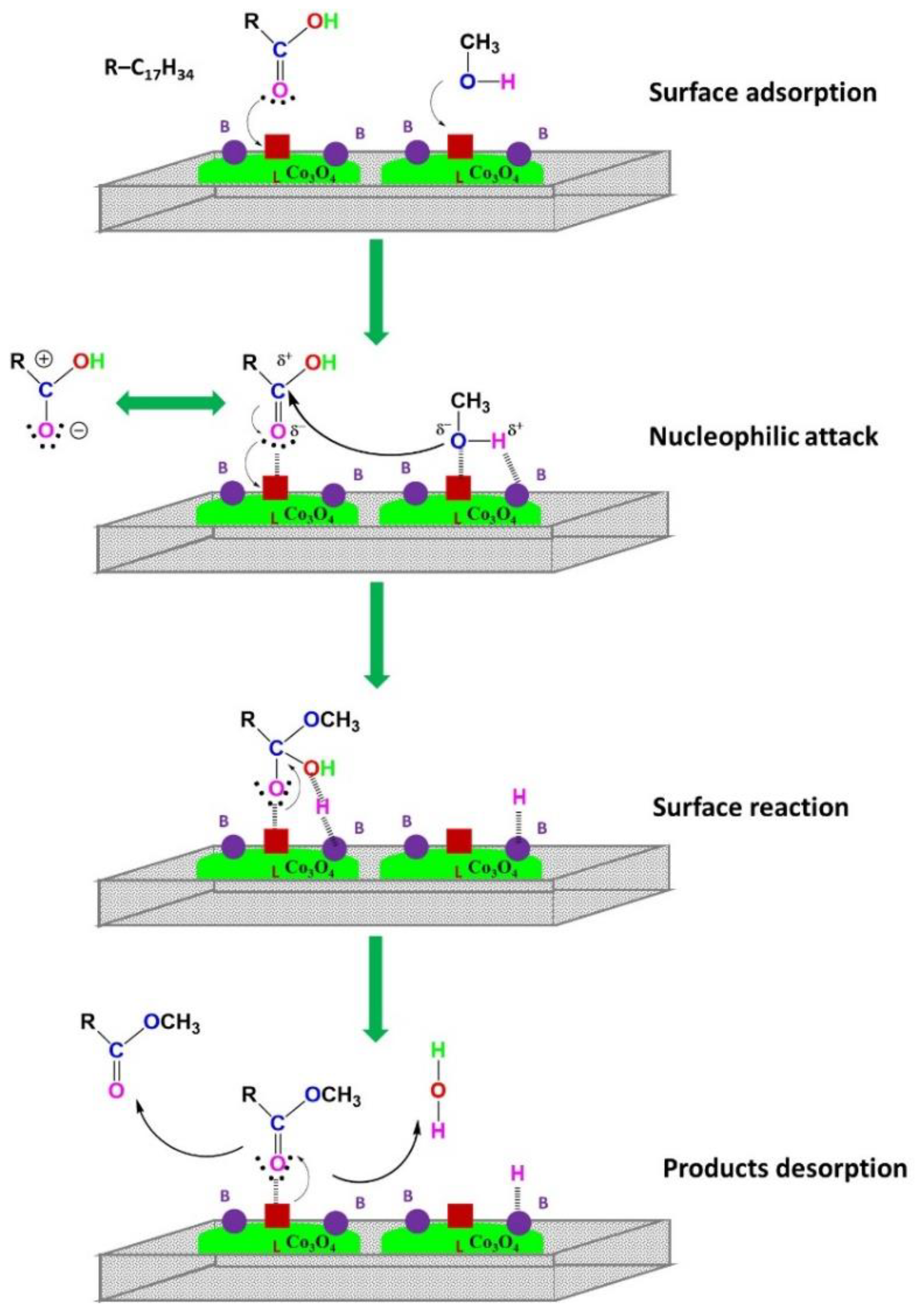 Catalysts 12 00900 sch001 Catalysts 12 00900 sch001