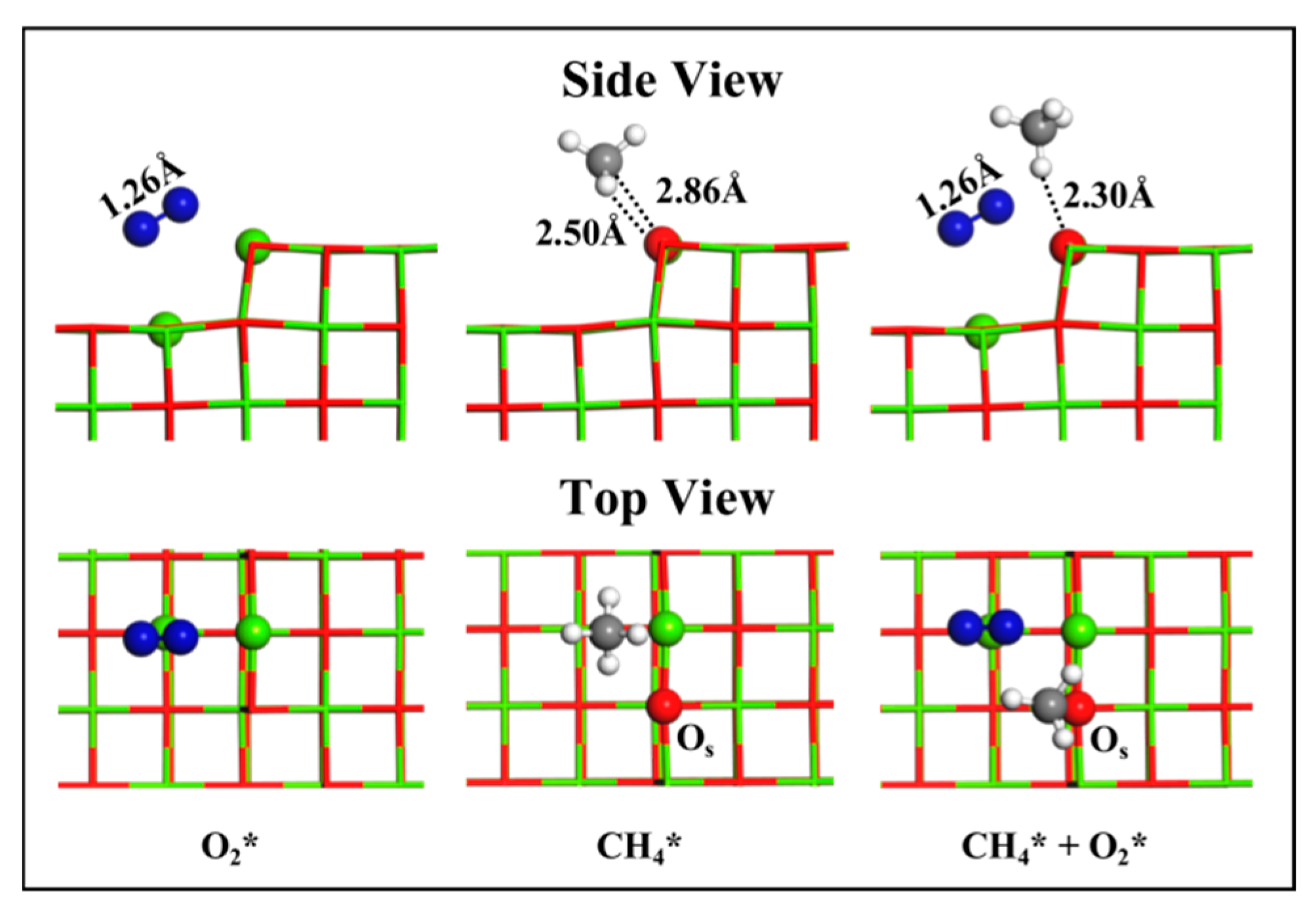 Catalysts 12 00903 g001 550