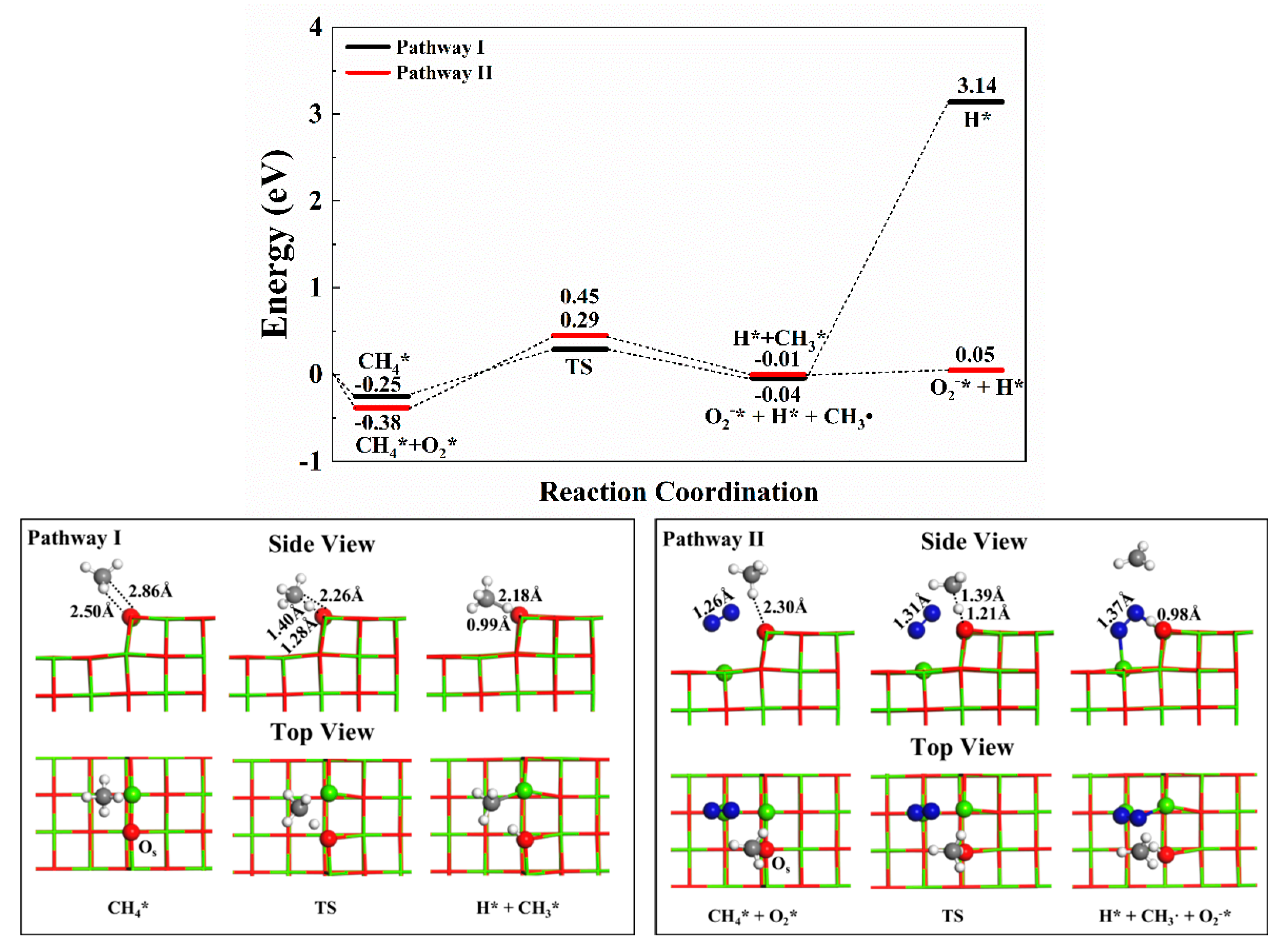 Catalysts 12 00903 g002 550