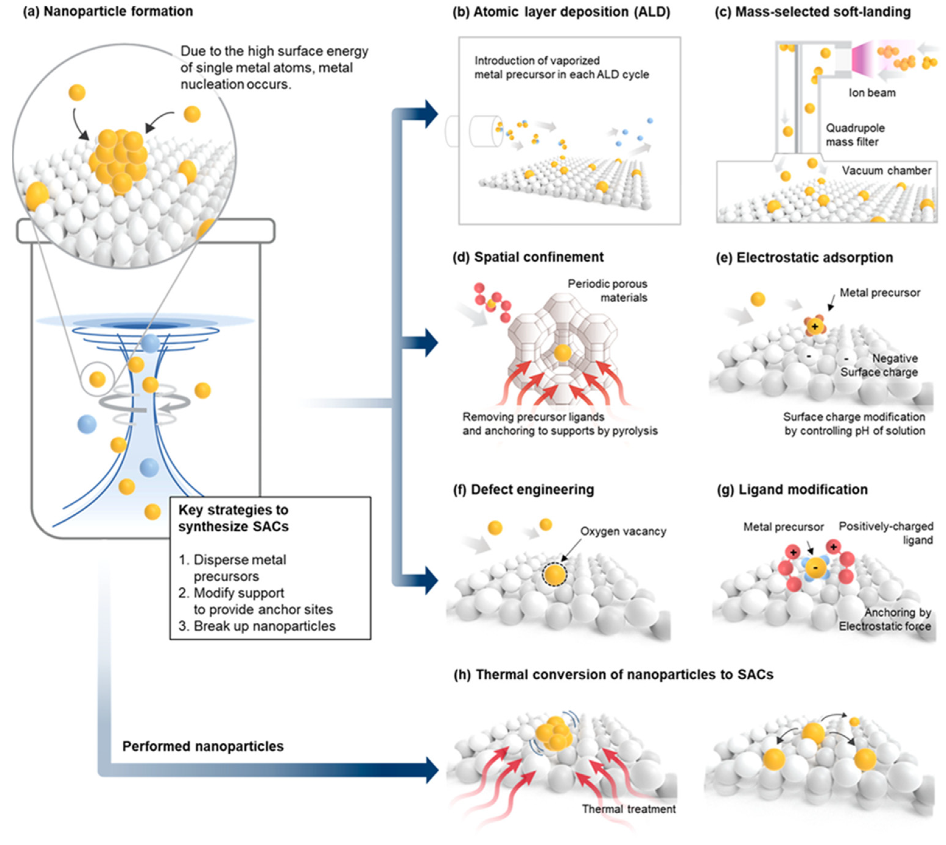 Catalysts 12 00905 g002