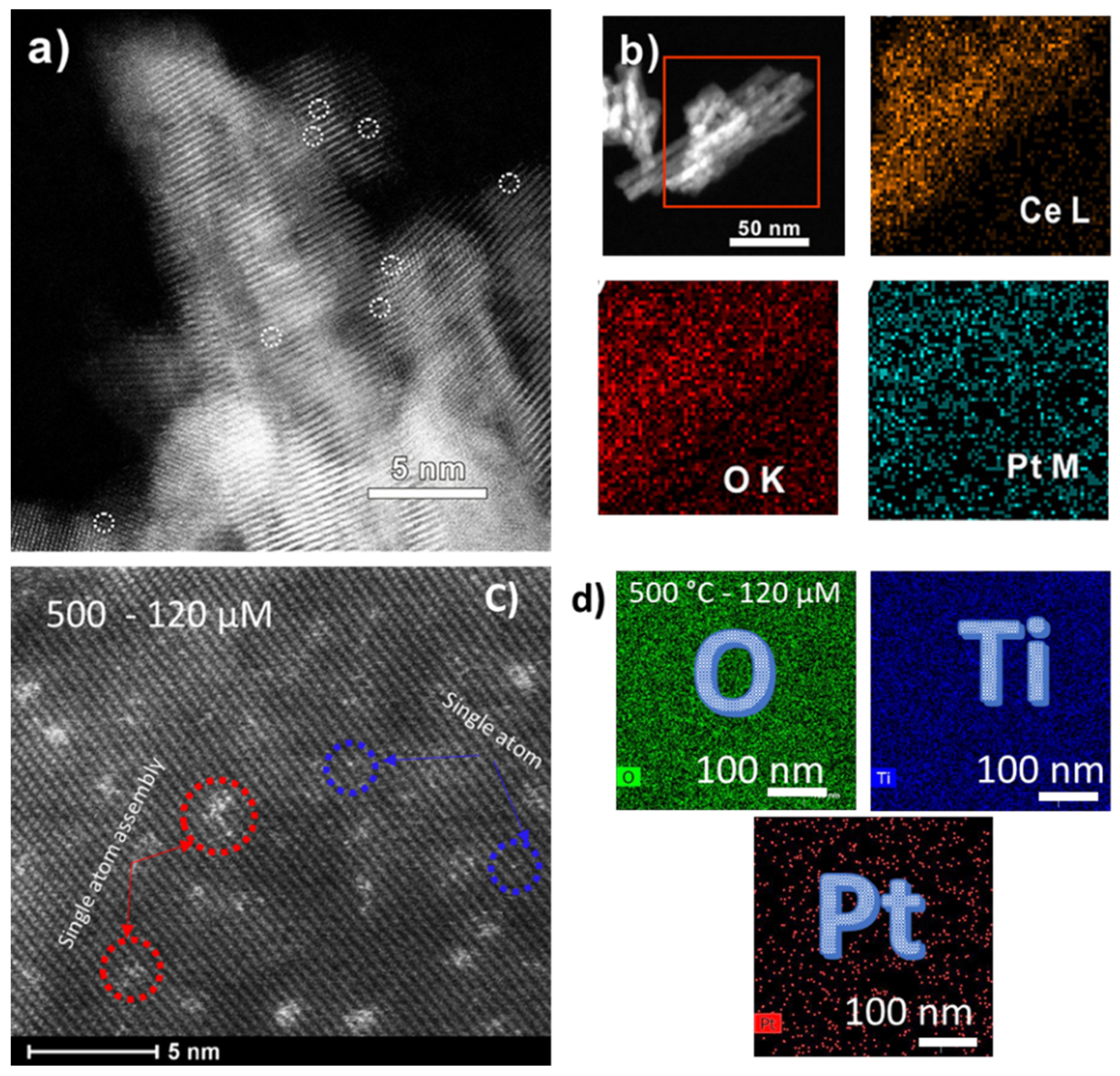 Catalysts 12 00905 g003