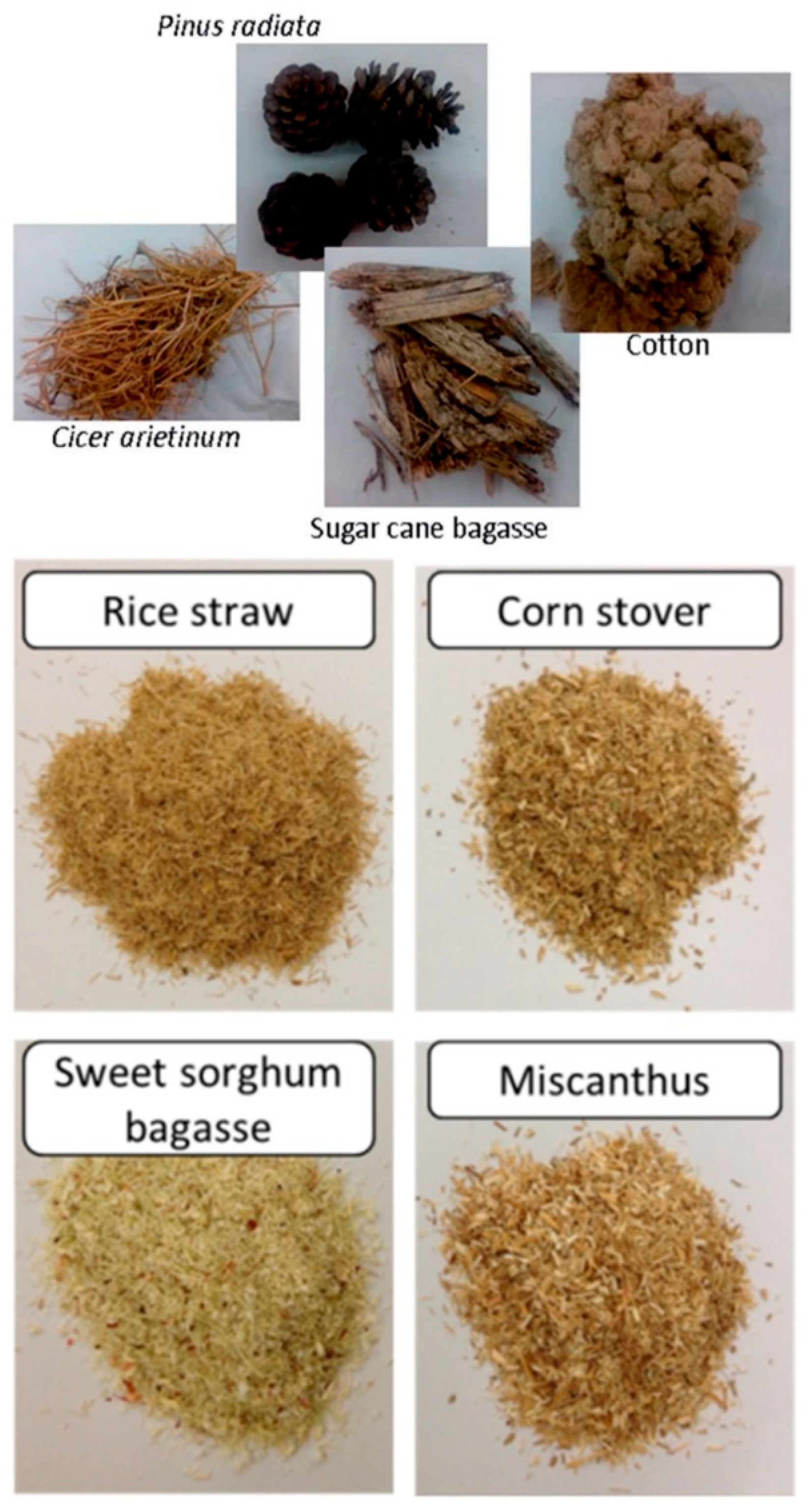 Catalysts 12 00909 g001