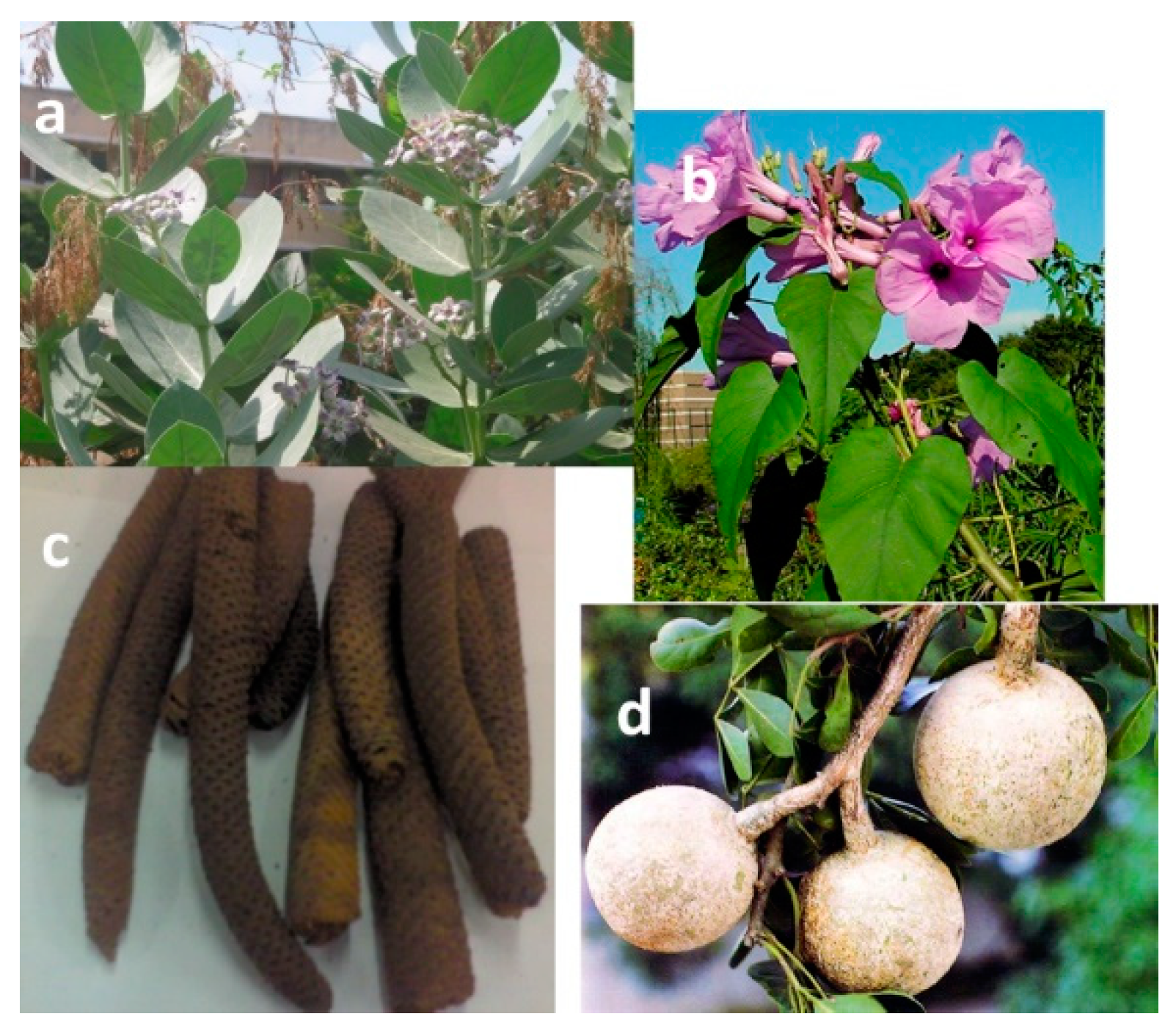 Catalysts 12 00909 g009