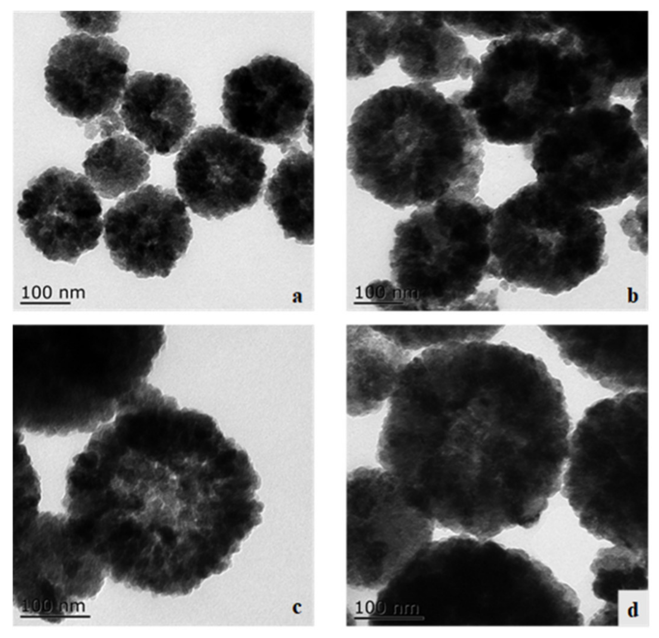 Catalysts 12 00910 g001