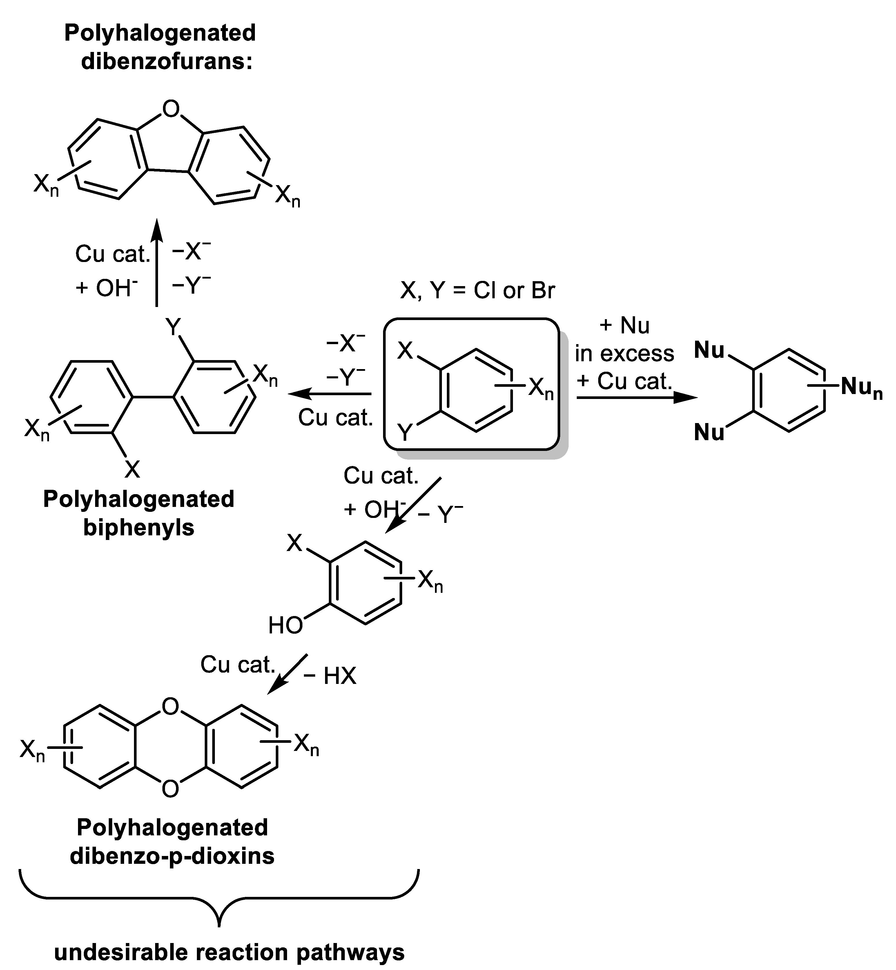 Catalysts 12 00911 sch001