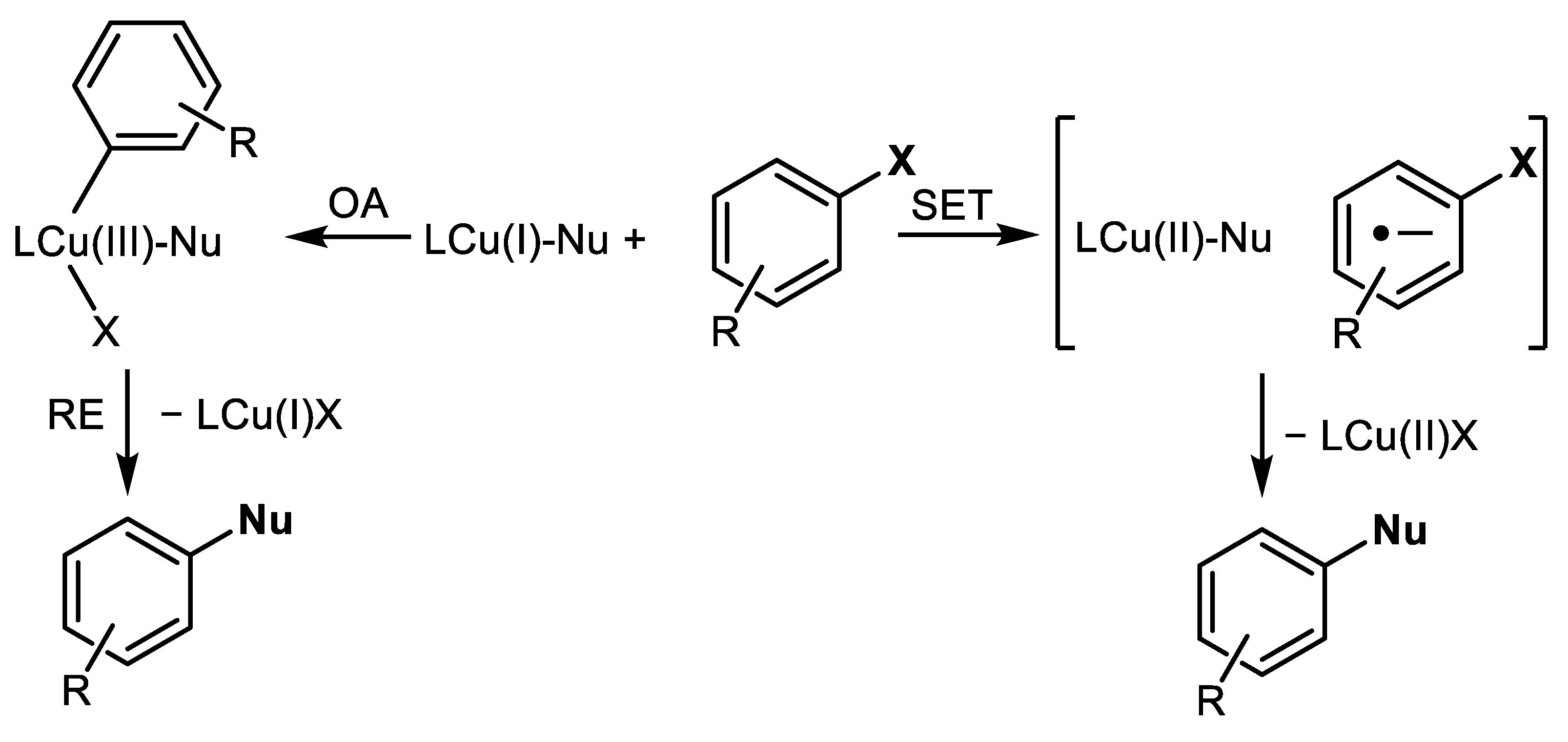 Catalysts 12 00911 sch004