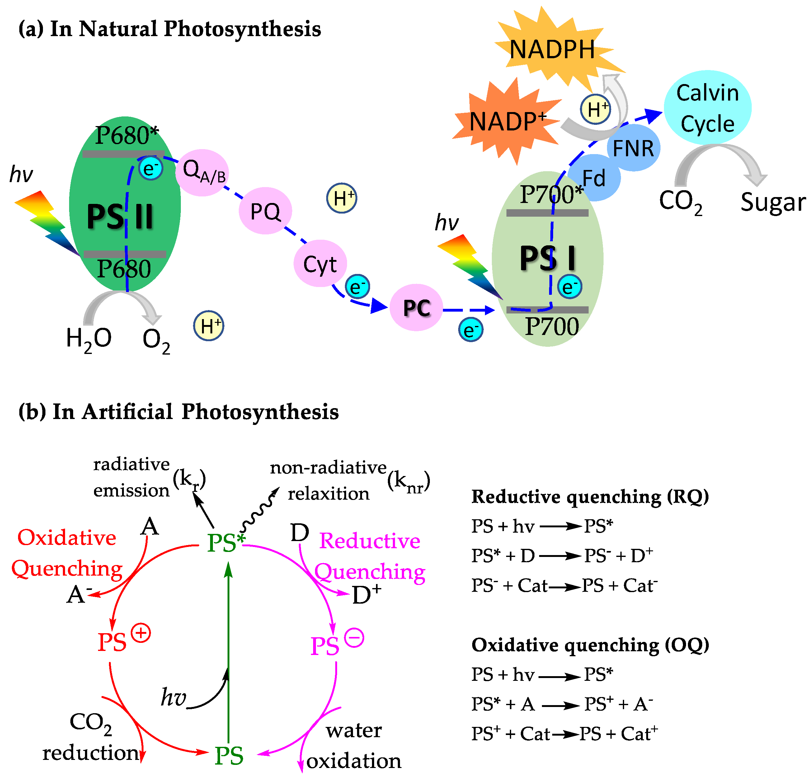 Catalysts 12 00919 g002