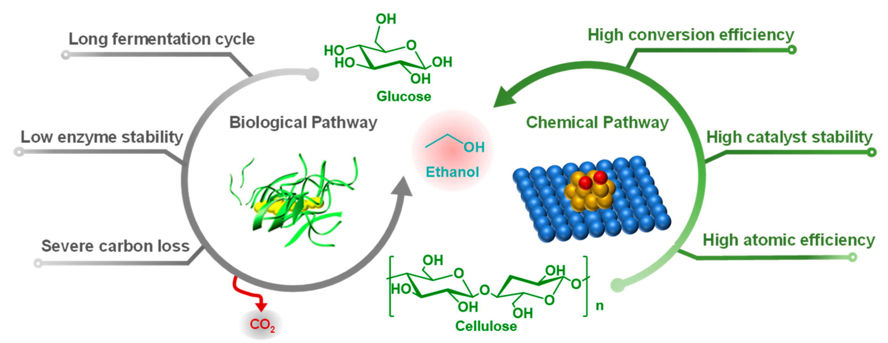 Catalysts 12 00922 g001 Catalysts 12 00922 g001