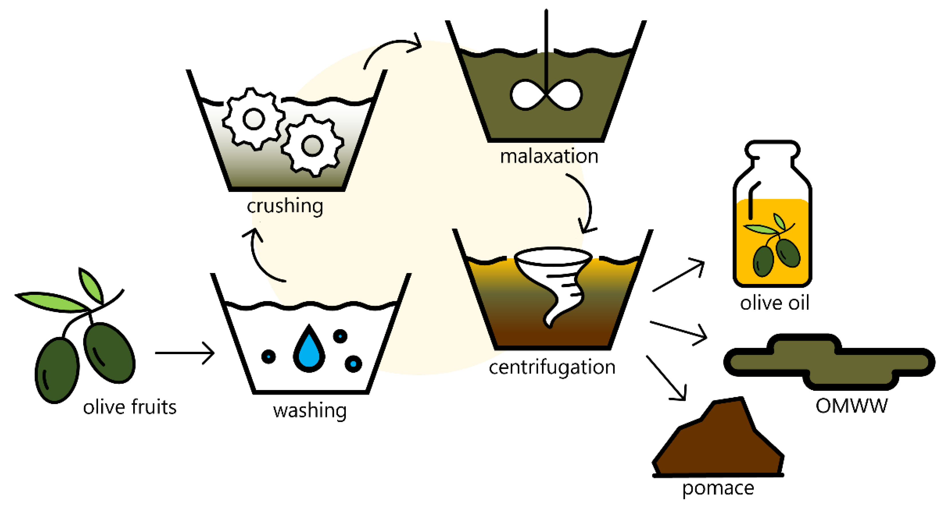 Catalysts 12 00923 g002
