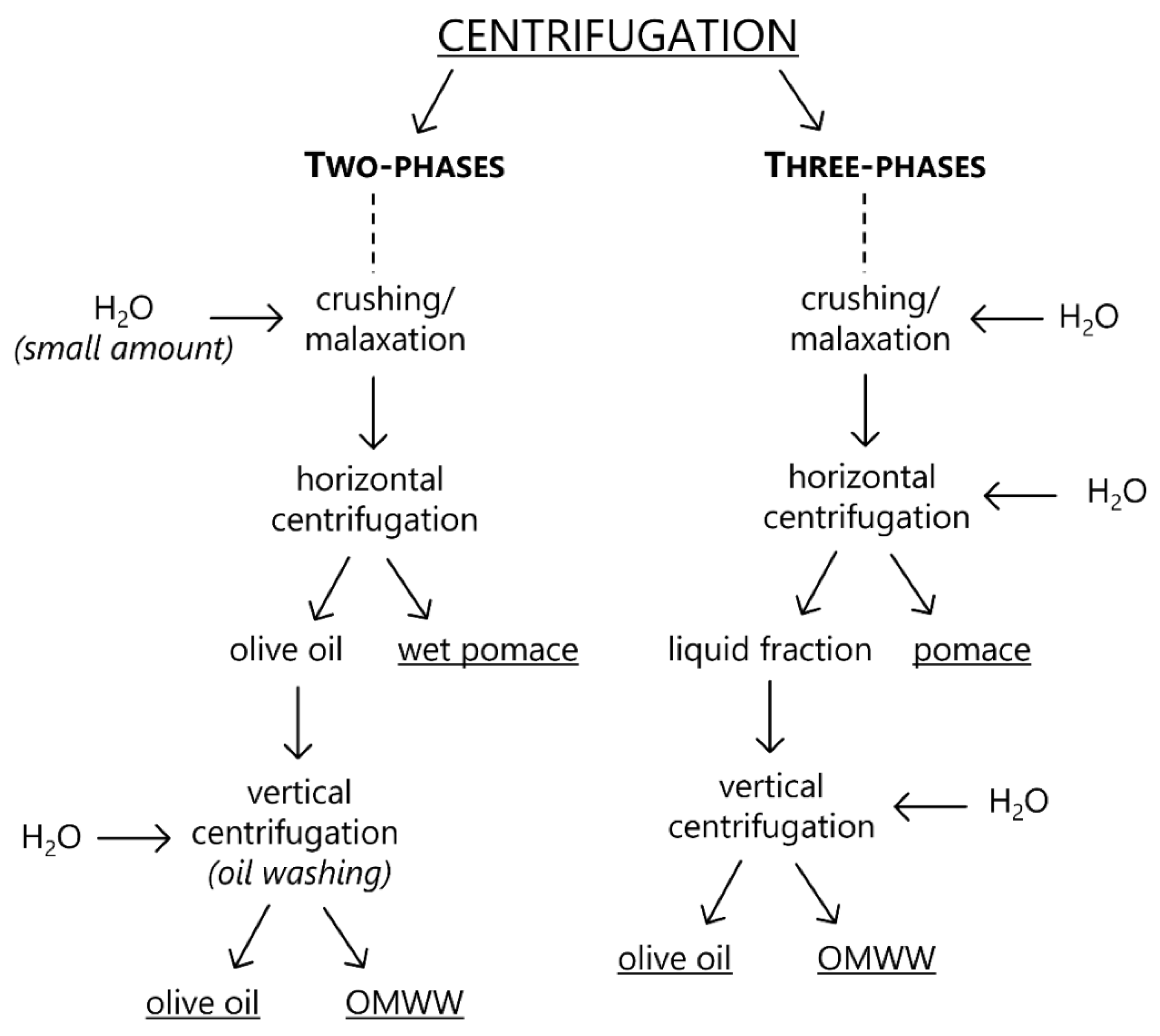 Catalysts 12 00923 g003