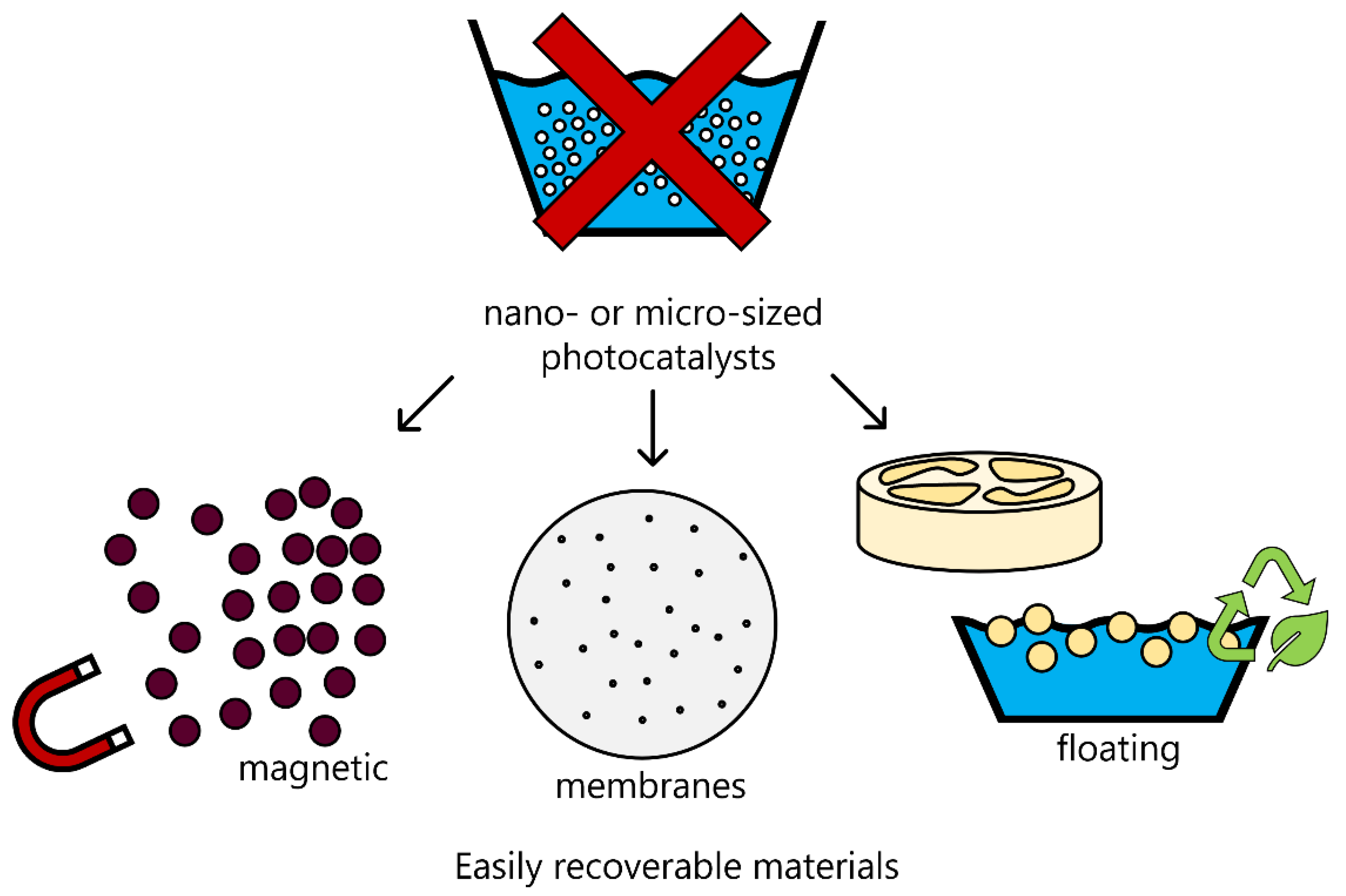 Catalysts 12 00923 g005