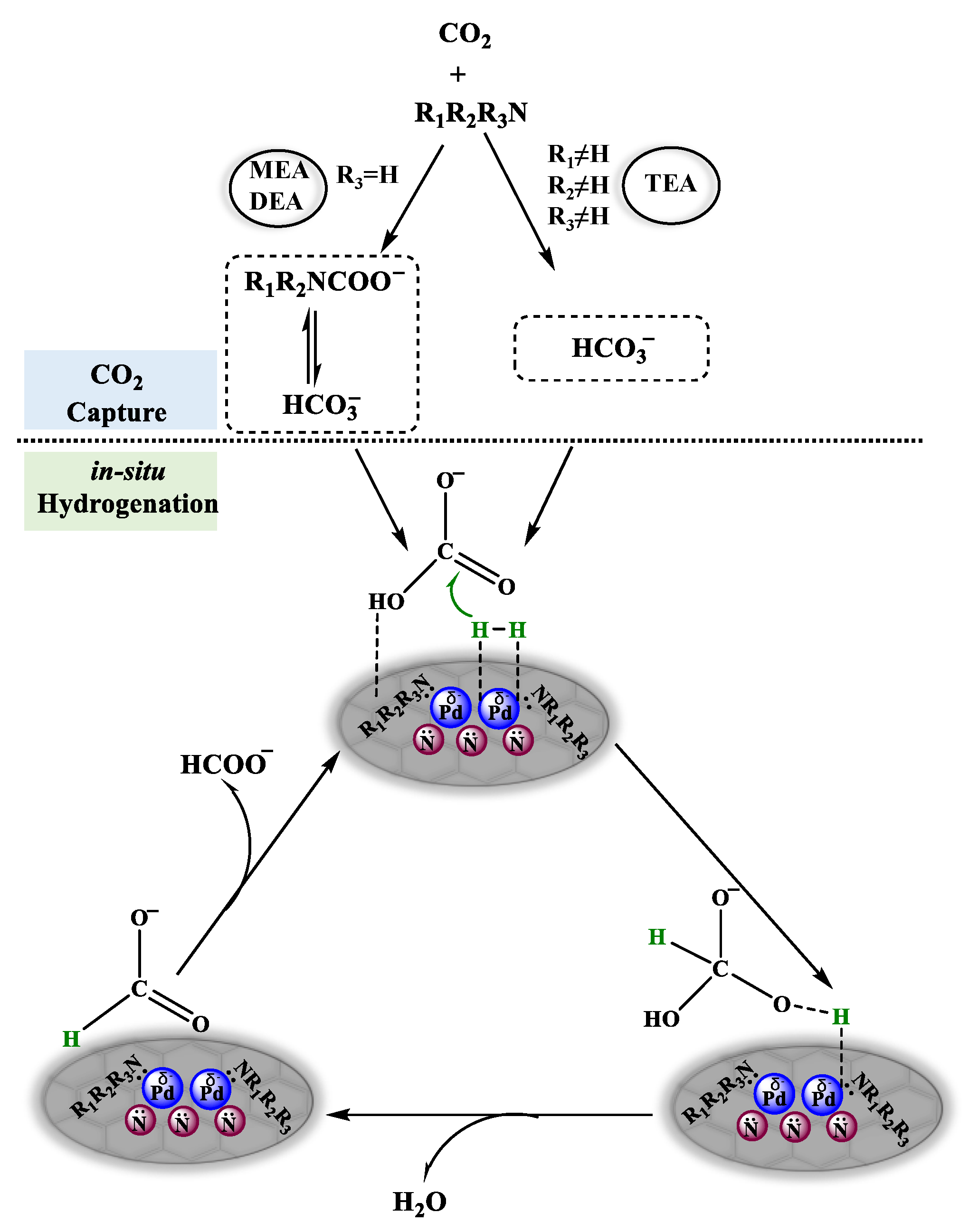Catalysts 12 00925 g004