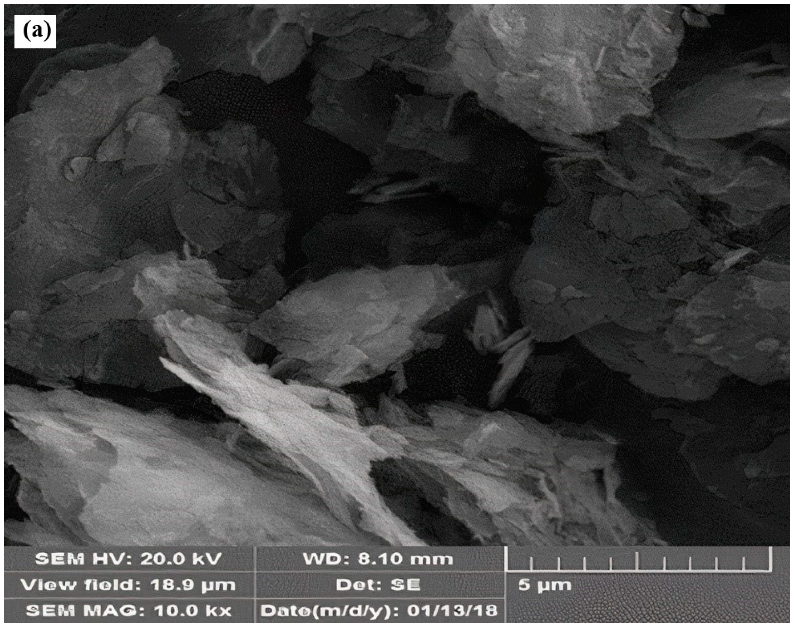 Catalysts 12 00927 g001a
