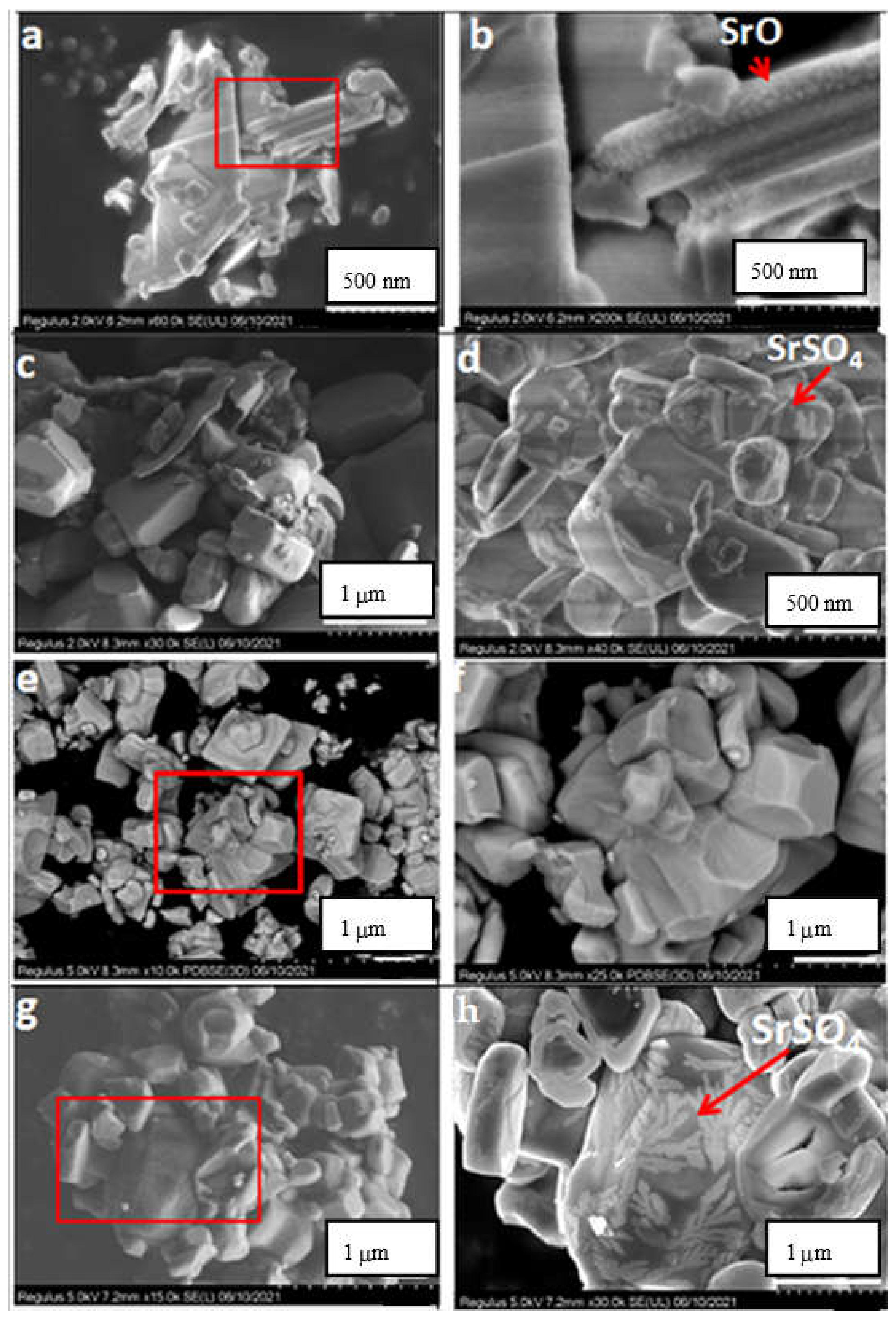 Catalysts 12 00929 g012