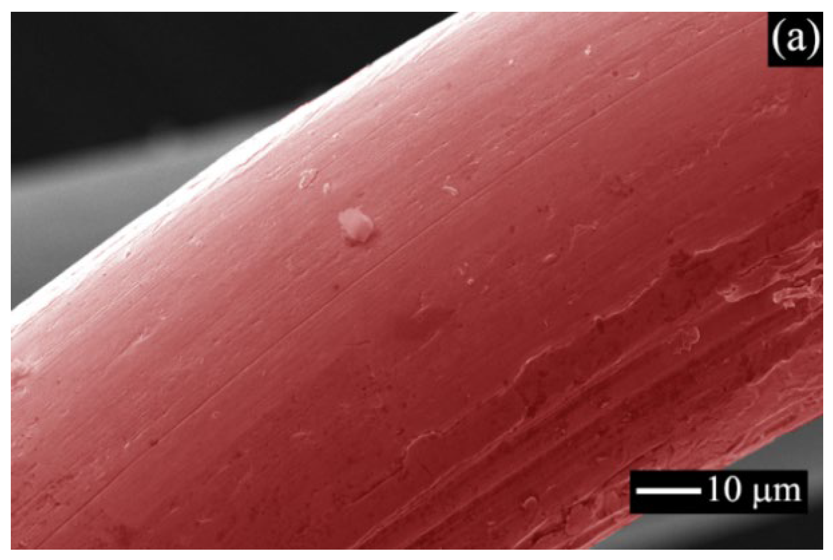 Catalysts 12 00930 g002a 550