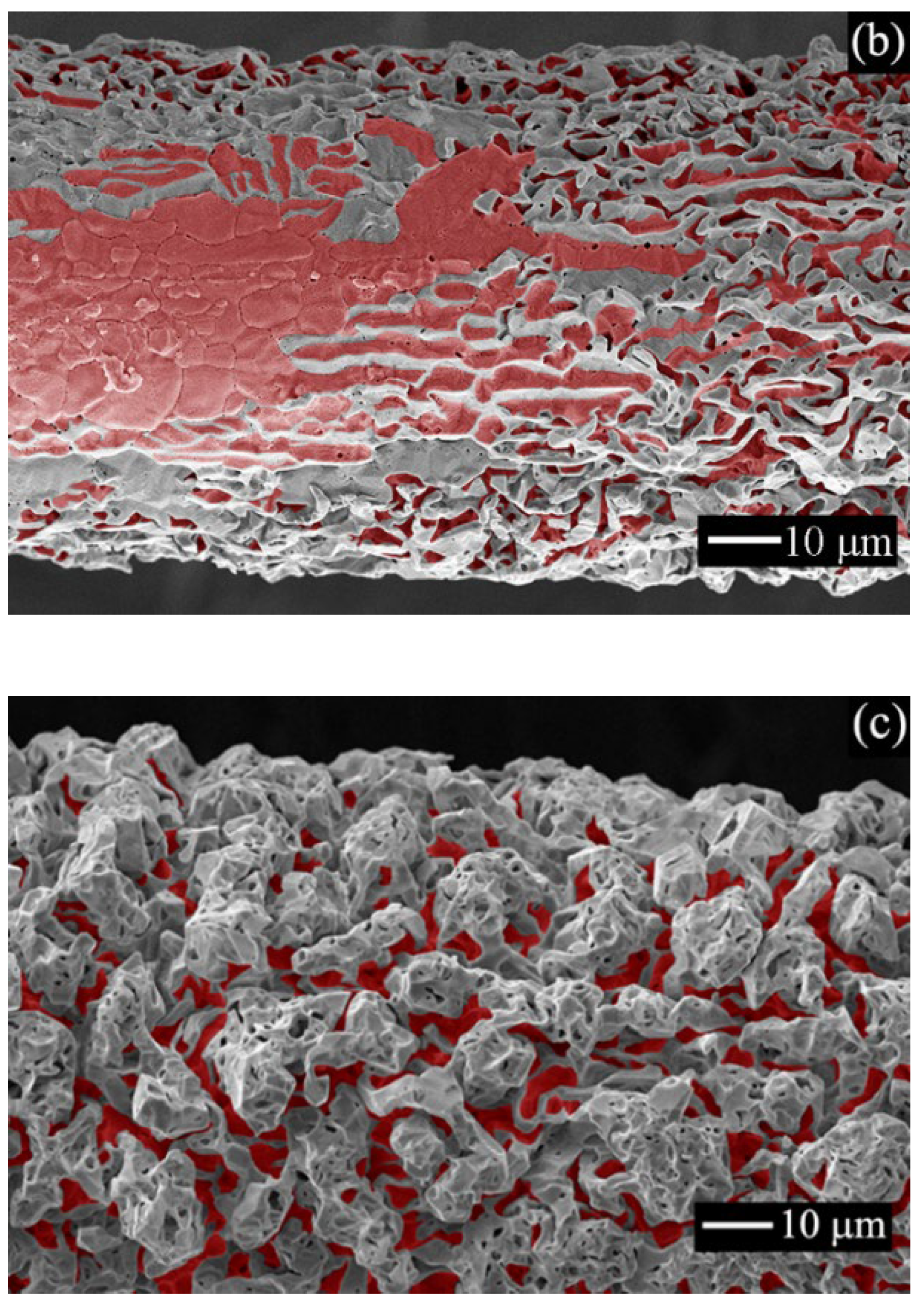 Catalysts 12 00930 g002b 550