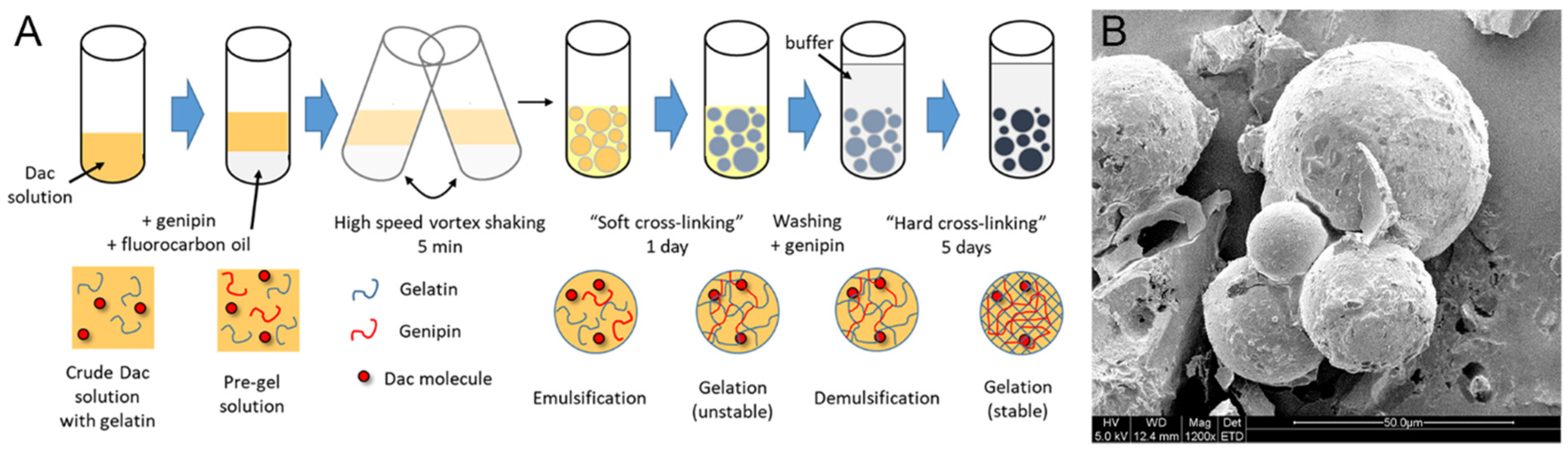 Catalysts 12 00932 g001 550