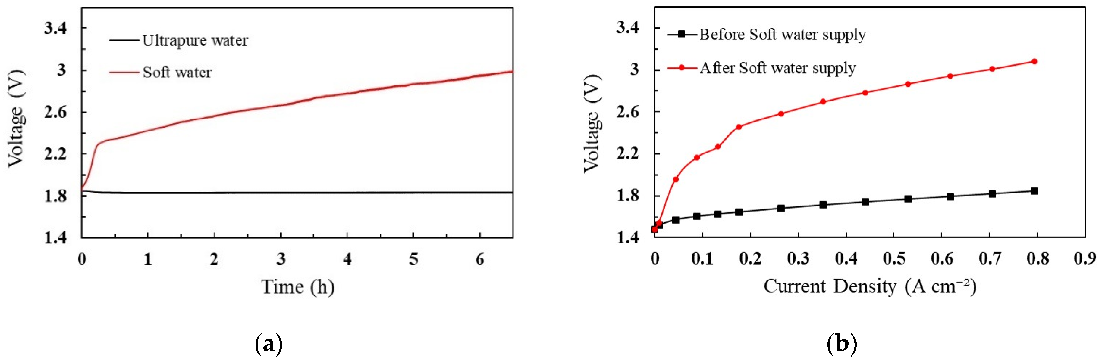 Catalysts 12 00934 g001