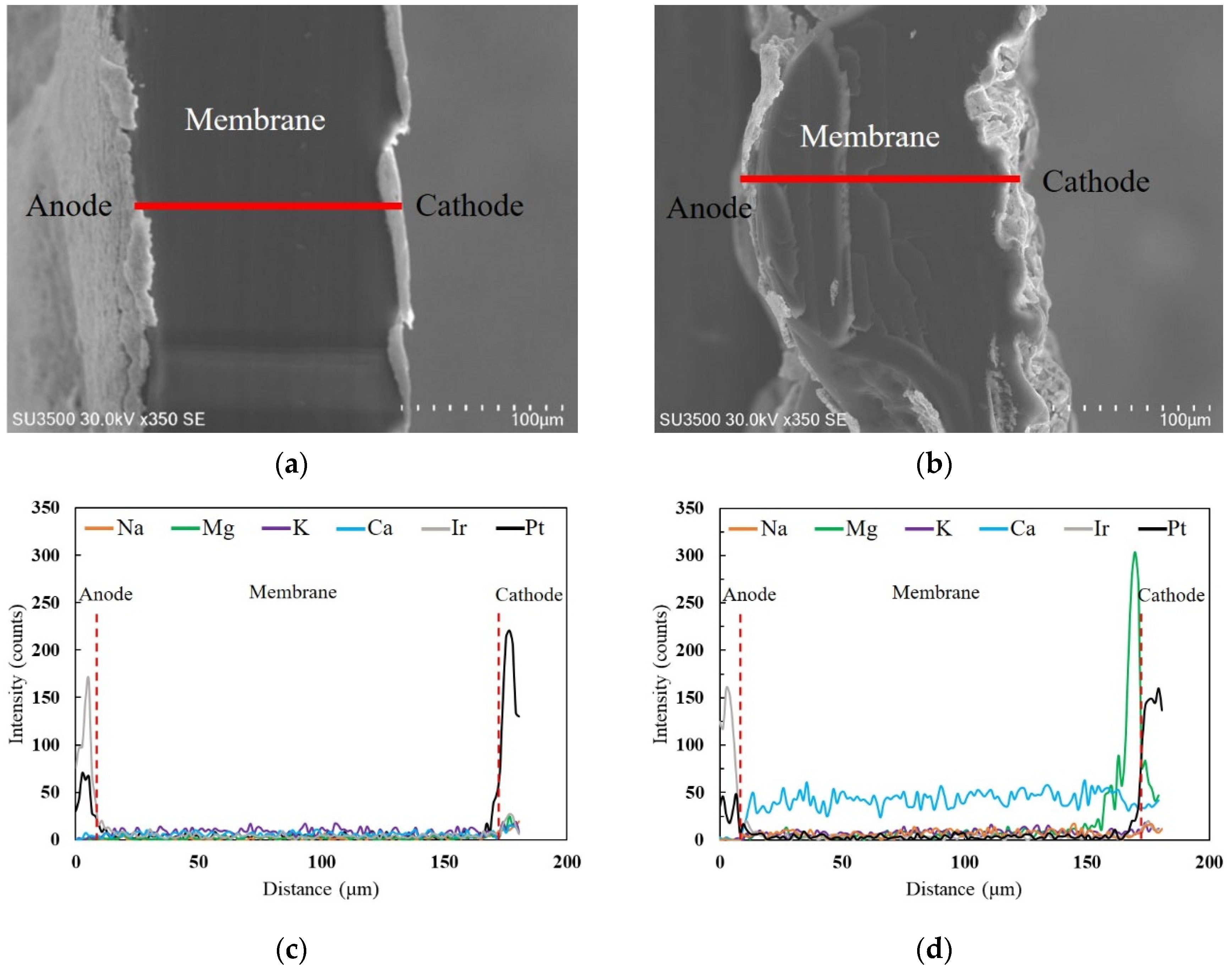 Catalysts 12 00934 g003