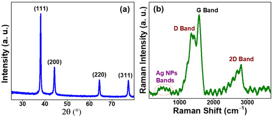 ピーク Amazon.com: GoSens 033a ABS Wheel Speed Sensor for Suzuki Grand