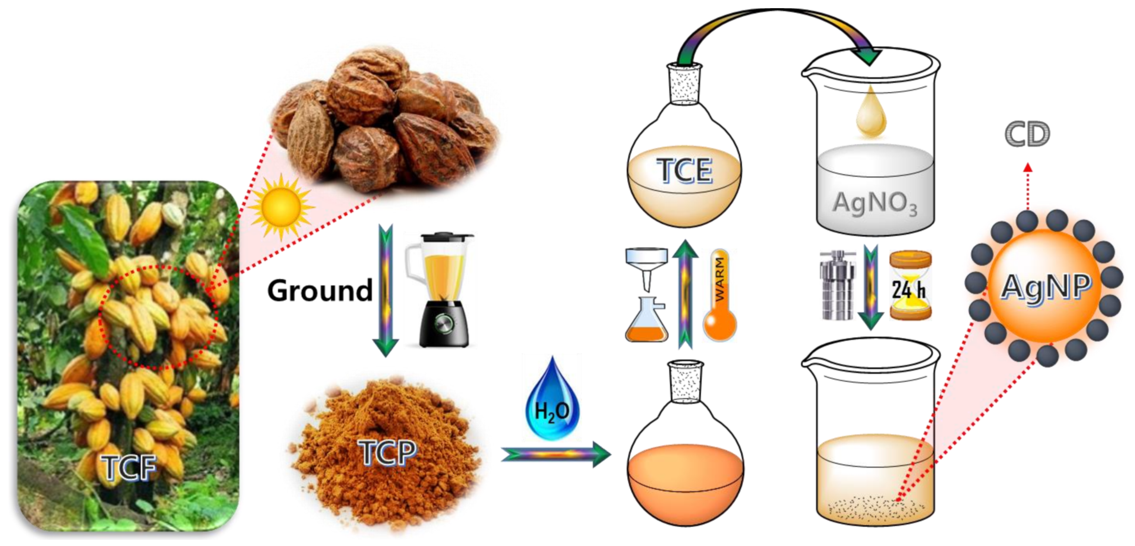 Catalysts 12 00937 sch001 550