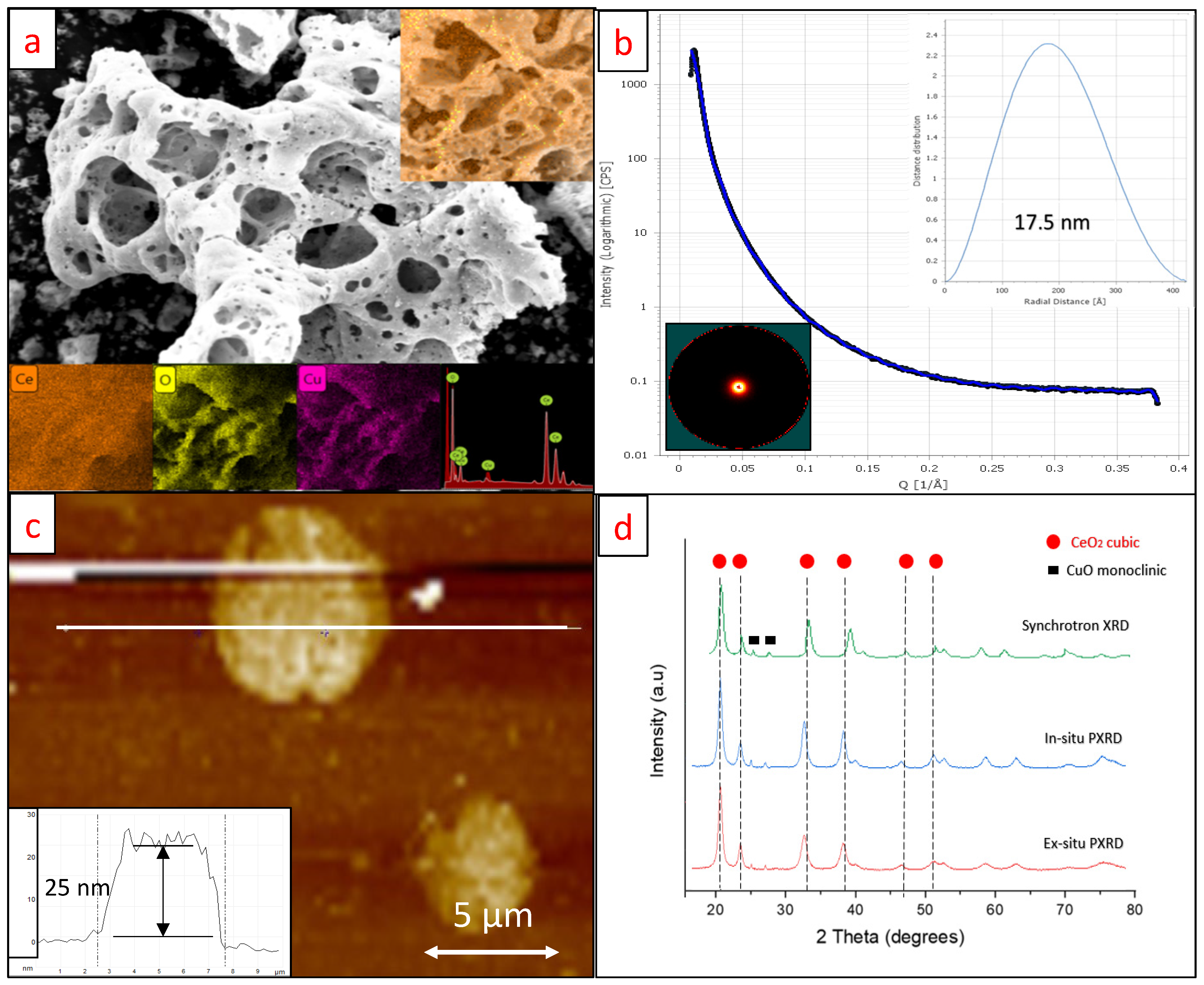 Catalysts 12 00941 g001