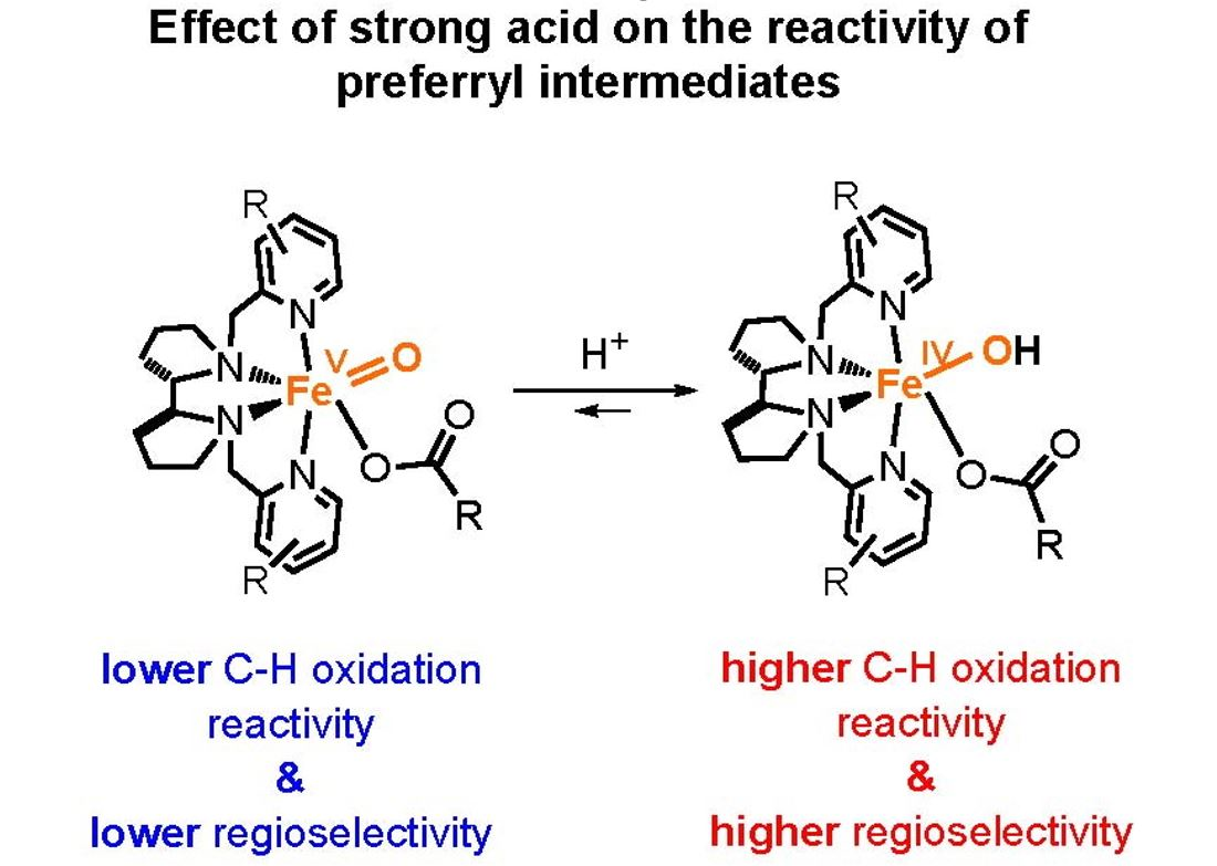 Catalysts Free FullText Effect of Brønsted Acid on the Reactivity