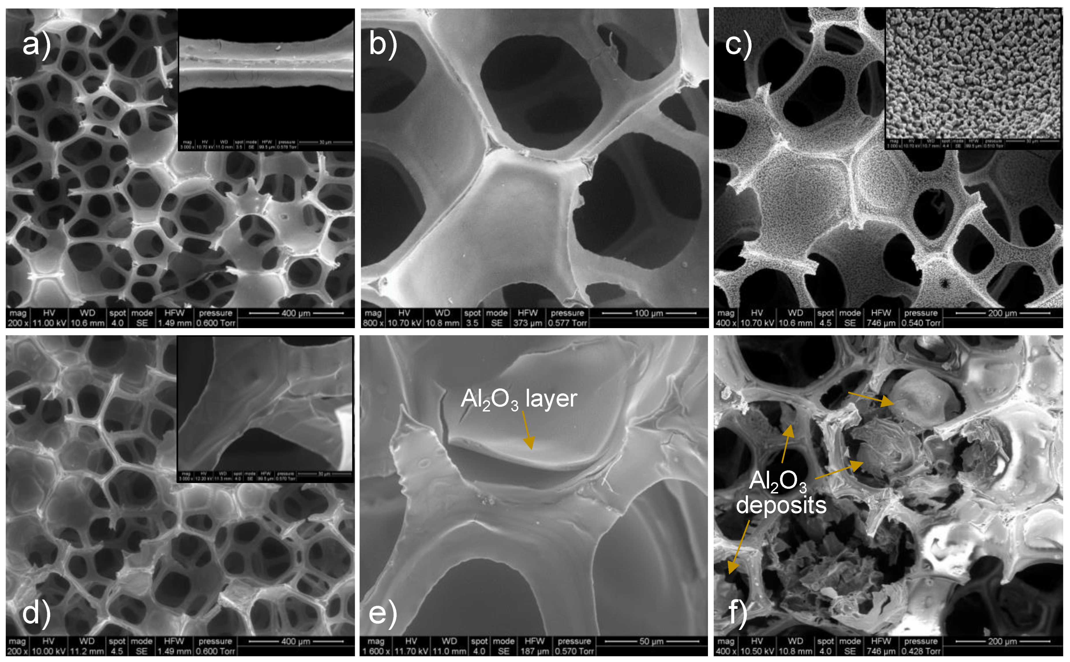 Catalysts 12 00956 g004 550