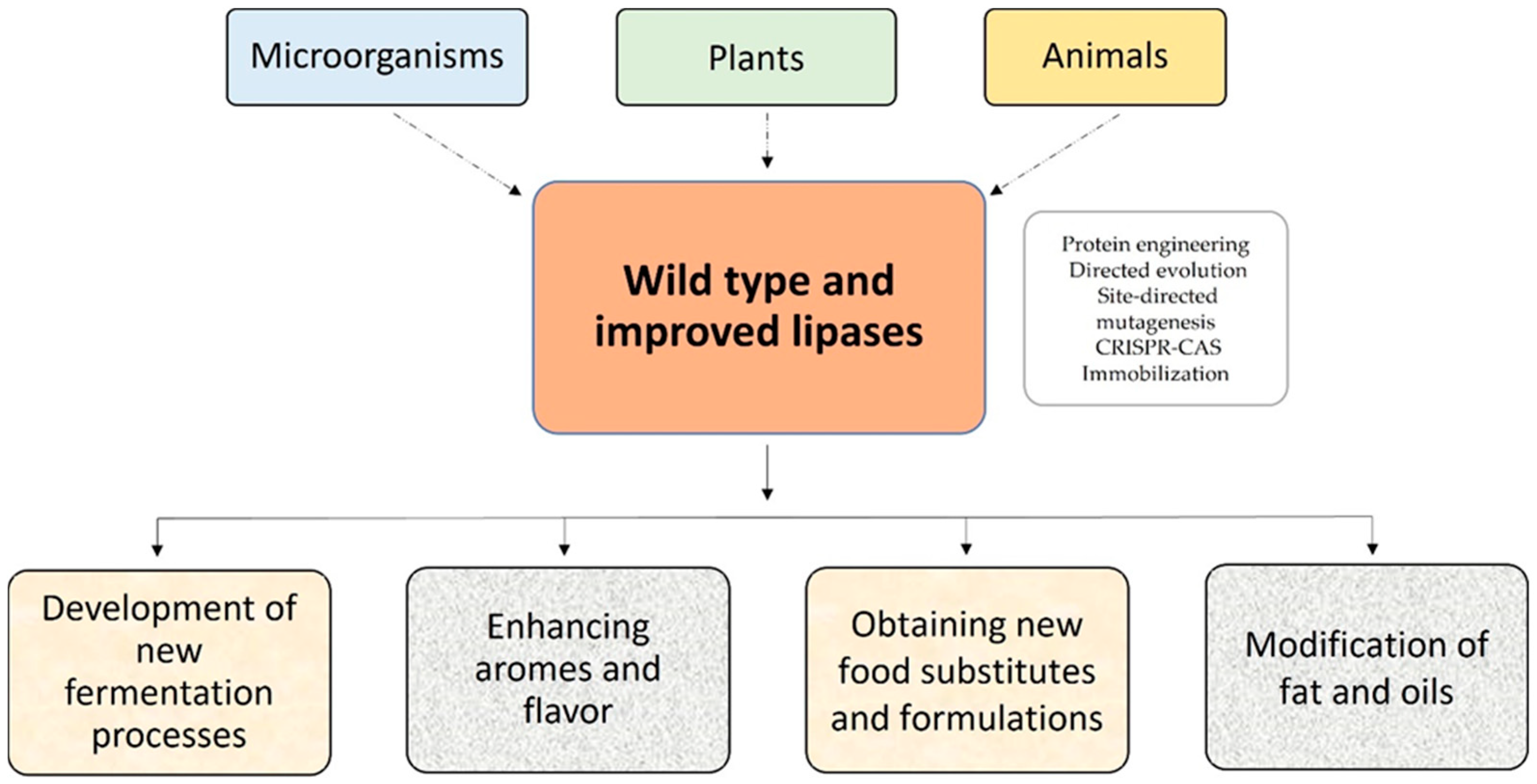 Catalysts 12 00960 g002 Catalysts 12 00960 g002