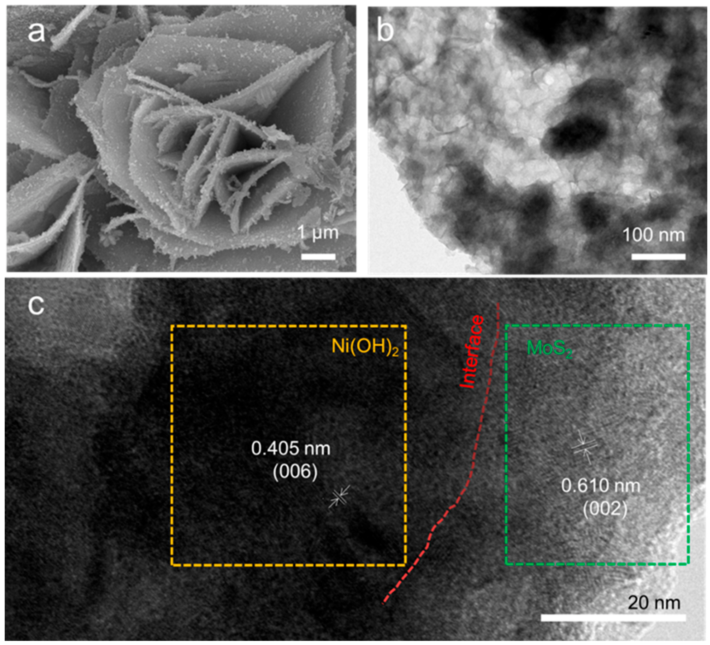 Catalysts 12 00966 g002