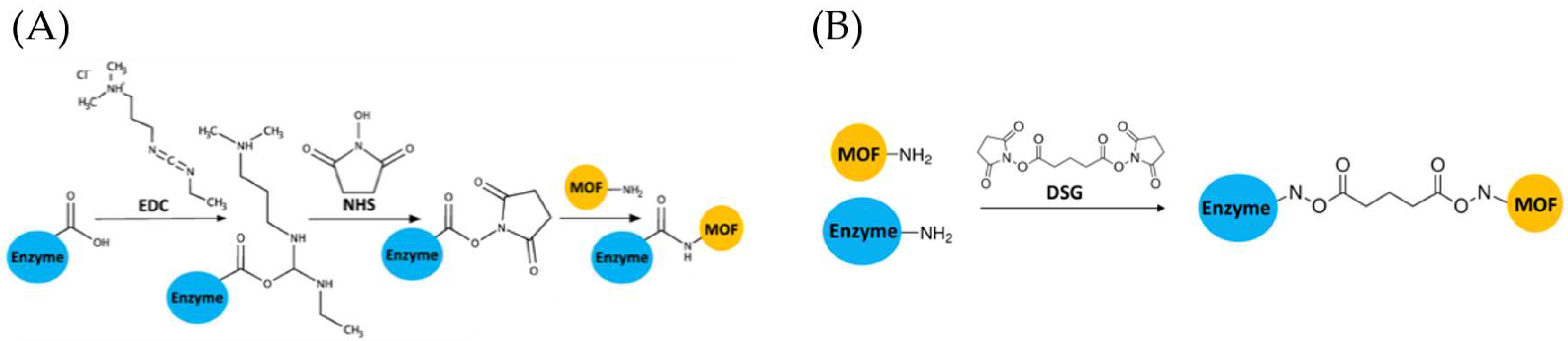 Catalysts 12 00969 g002 Catalysts 12 00969 g002