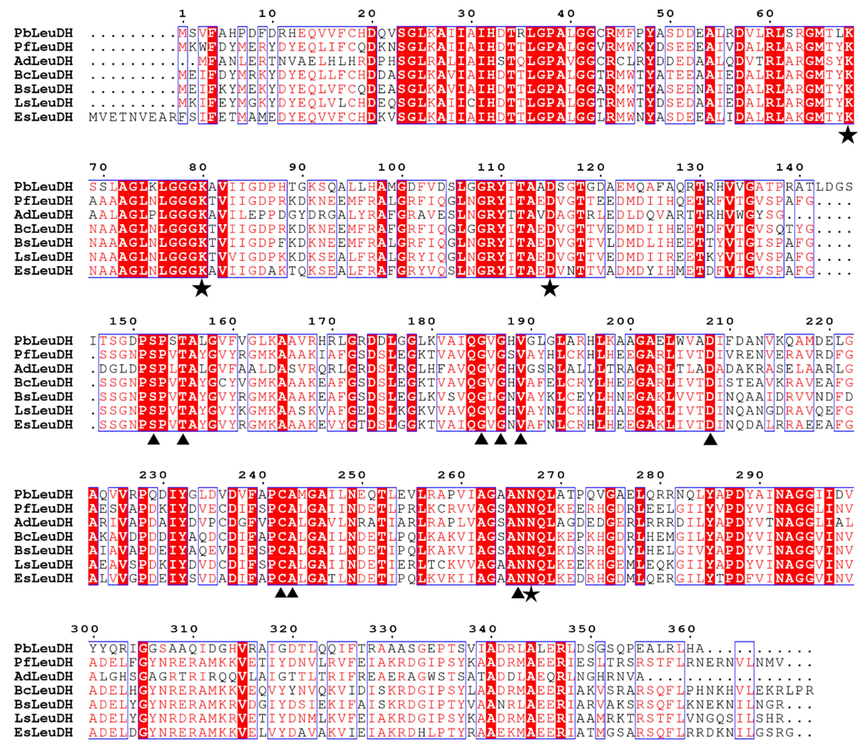 Catalysts 12 00971 g002 550