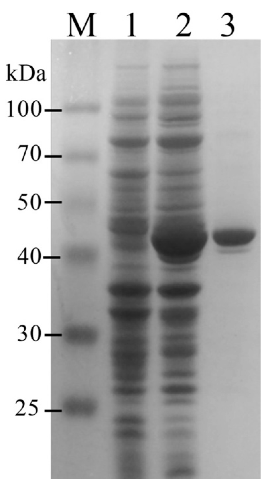 Catalysts 12 00971 g003 550